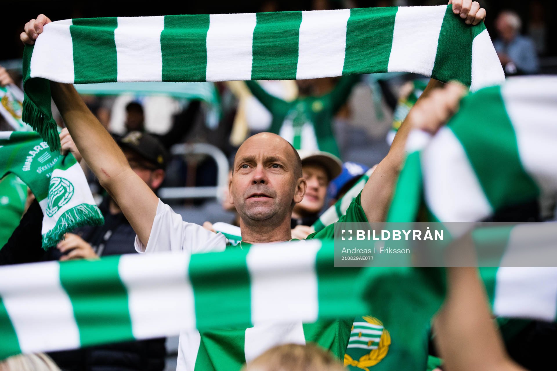 En supporter till Hammarby