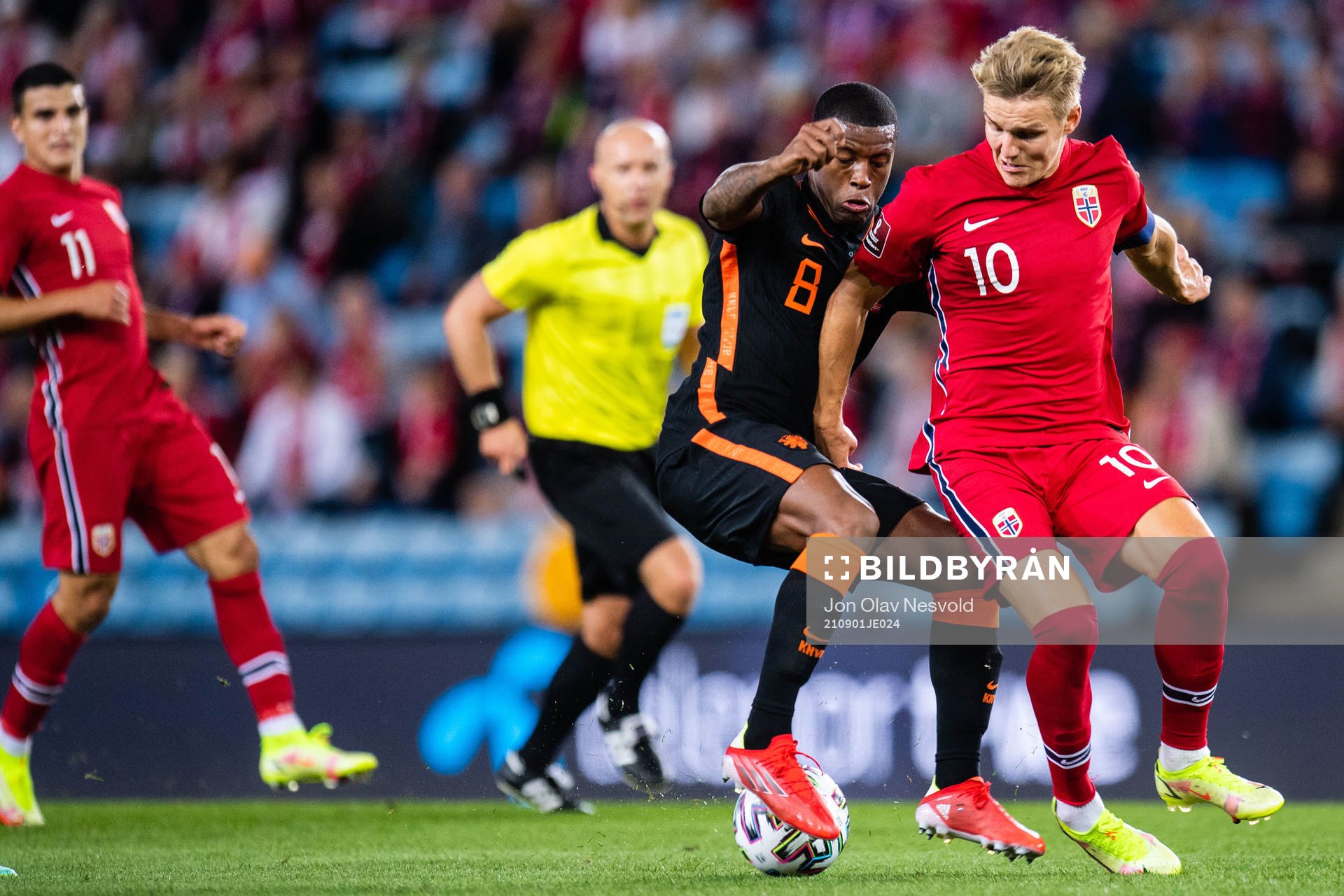 Georginio Wijnaldum of Netherlands and Martin Ødegaard of