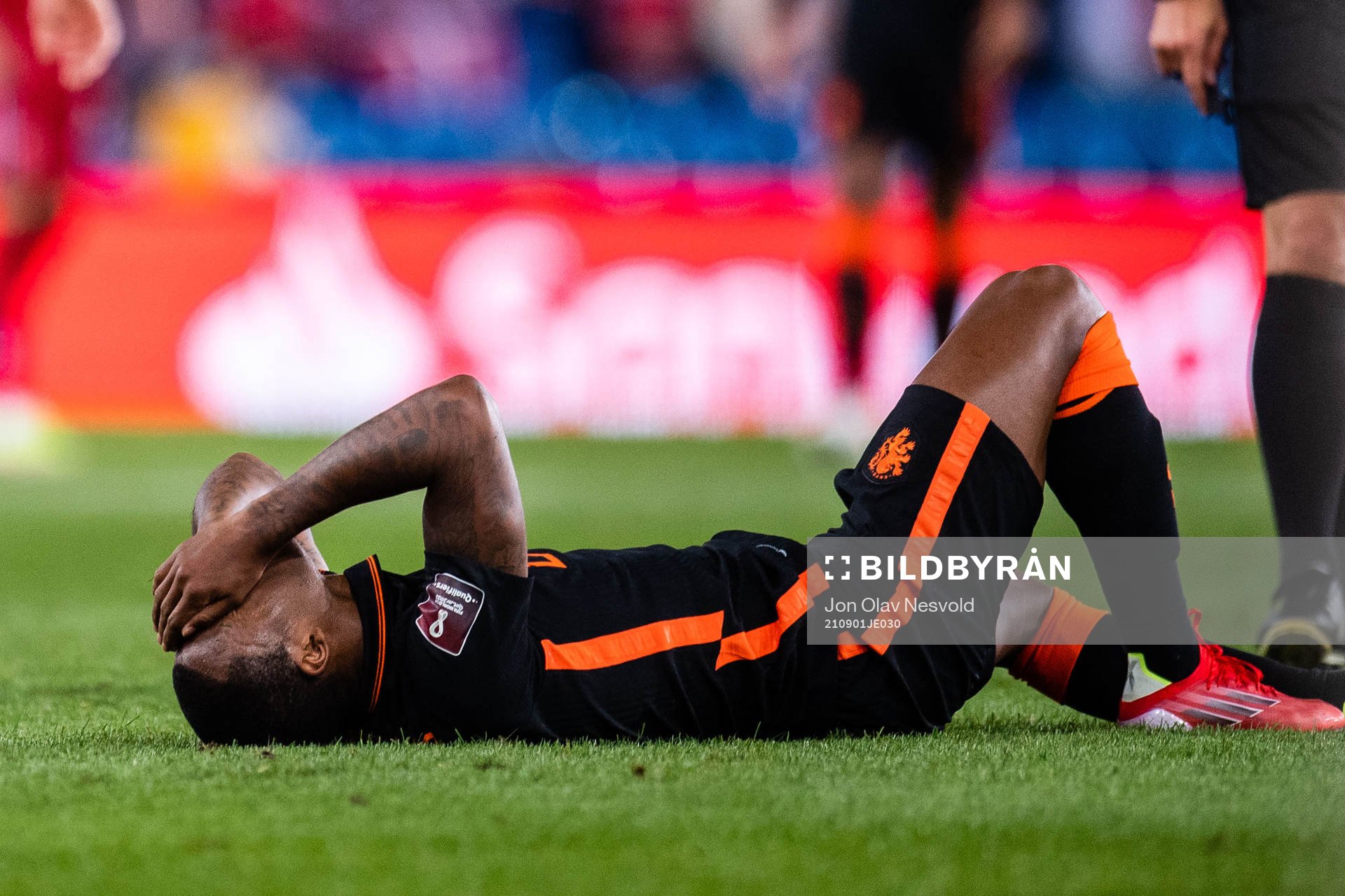 Georginio Wijnaldum of Netherlands