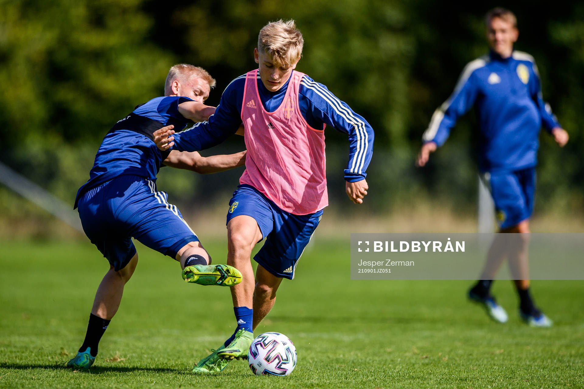 Carl Gustafsson och Dennis Collander
