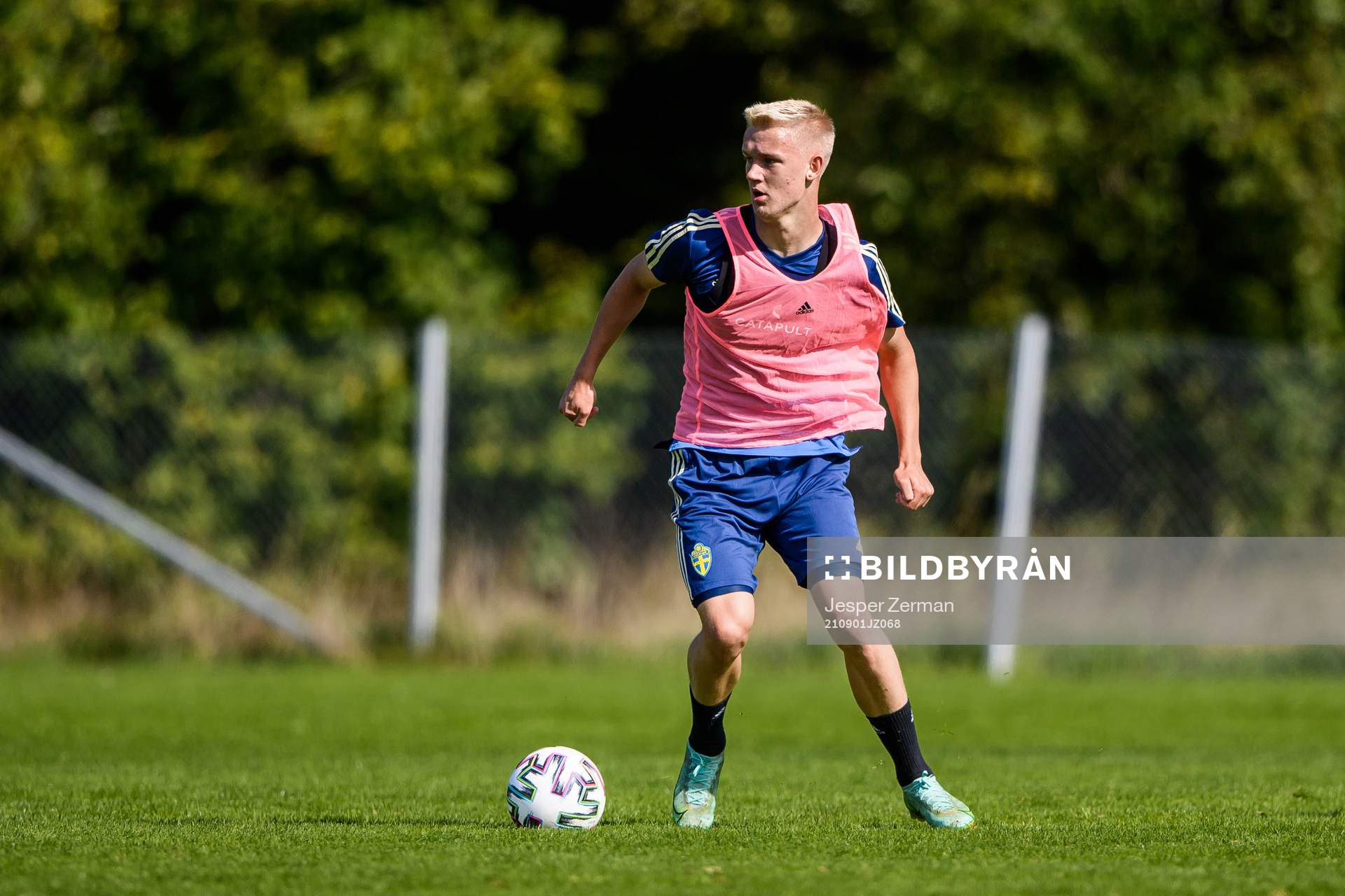 Carl Gustafsson