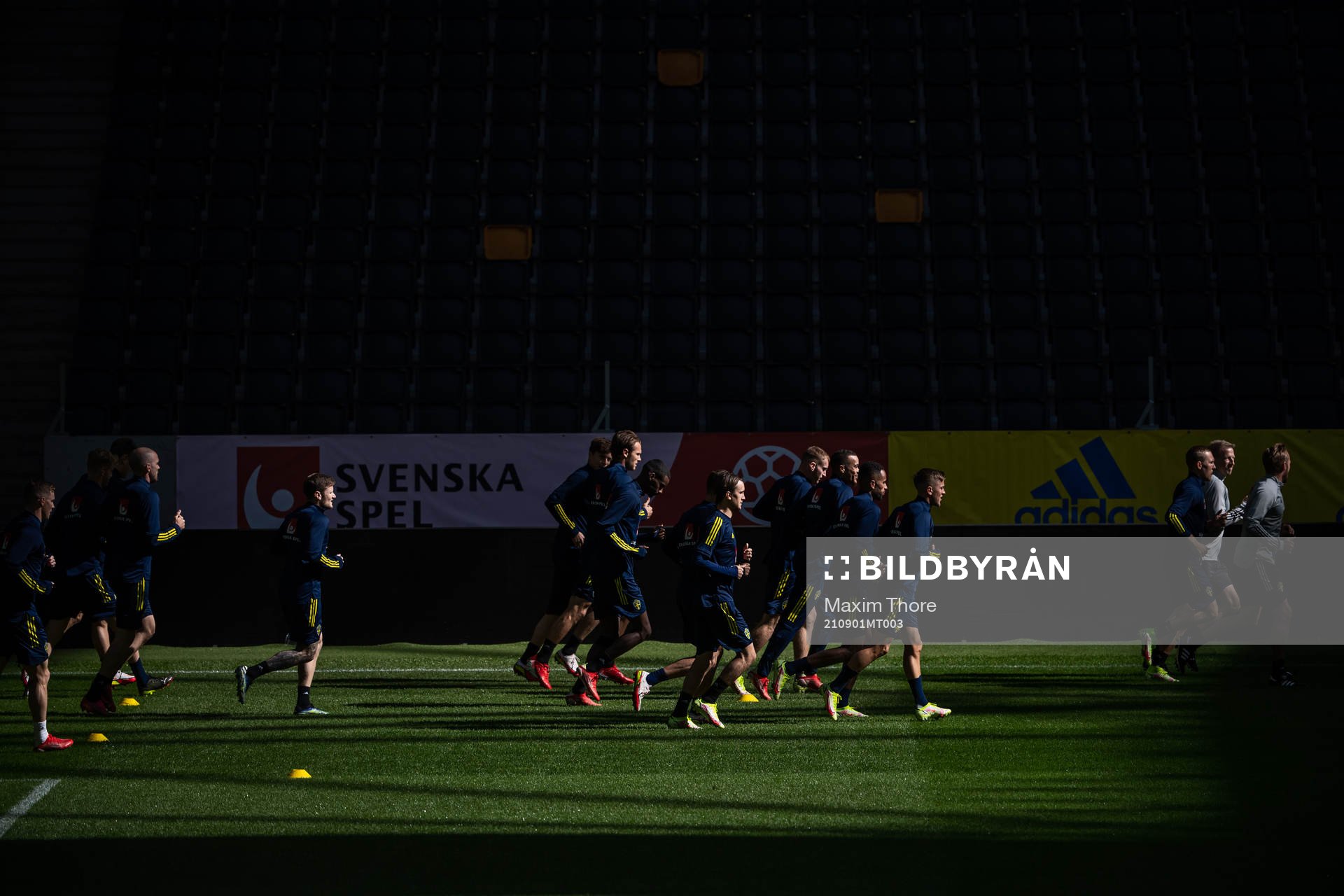 Players of the Swedish national team