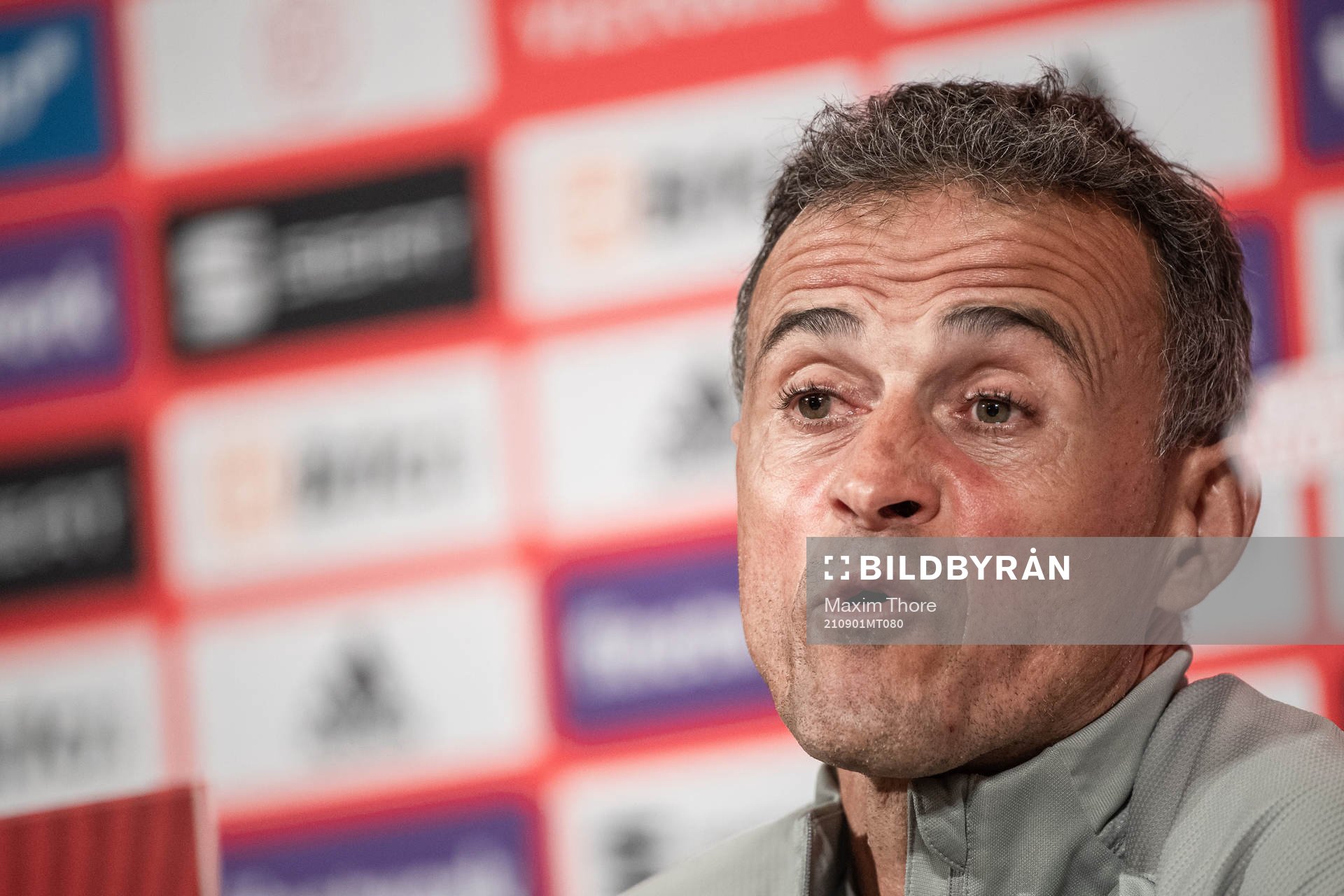 Head coach Luis Enrique of the Spanish national football