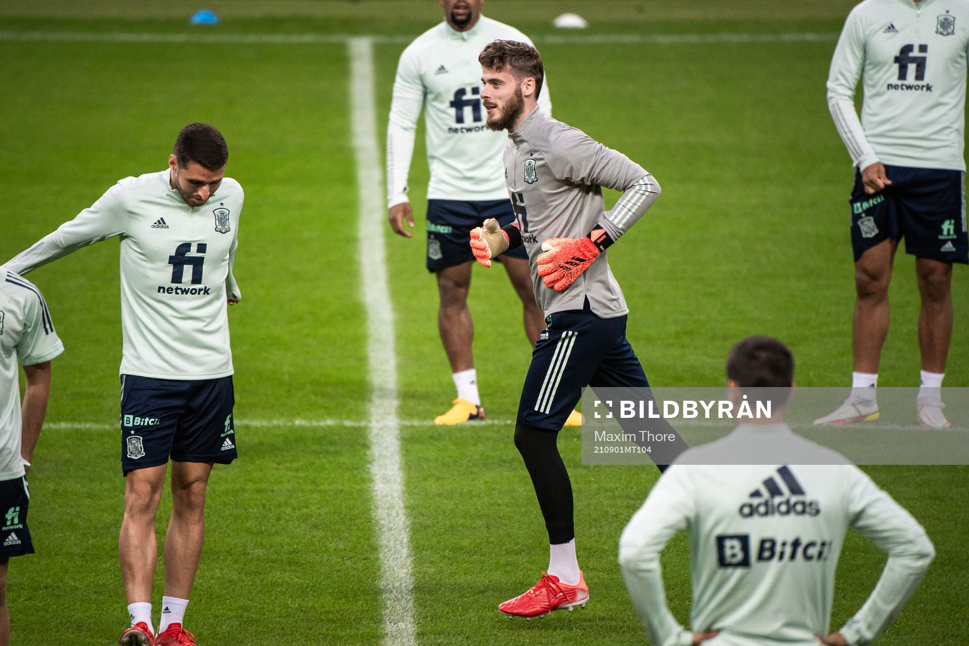 Goalkeeper David de Gea of the Spanish national football