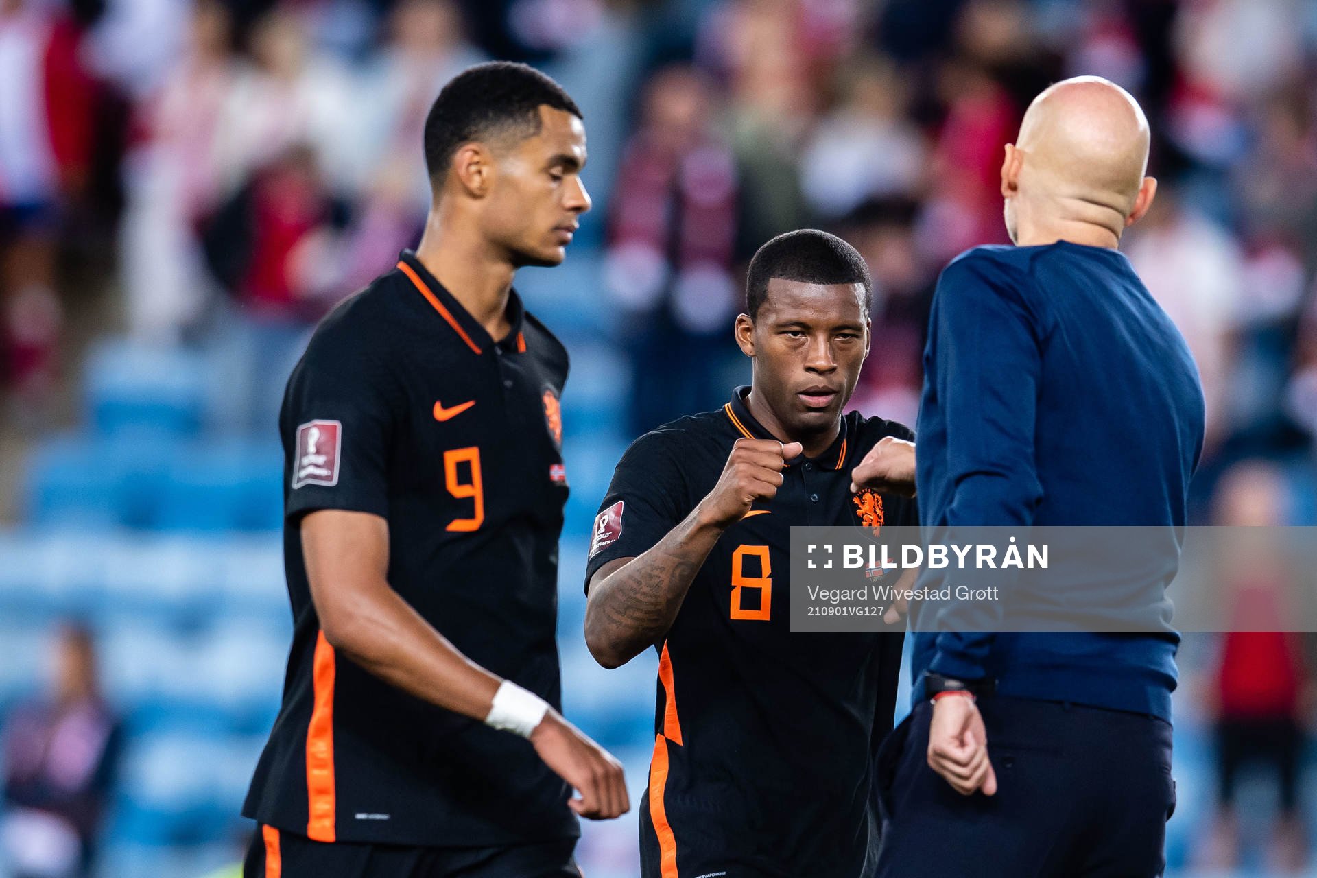 Georginio Wijnaldum of Netherlands and Ståle Solbakken,