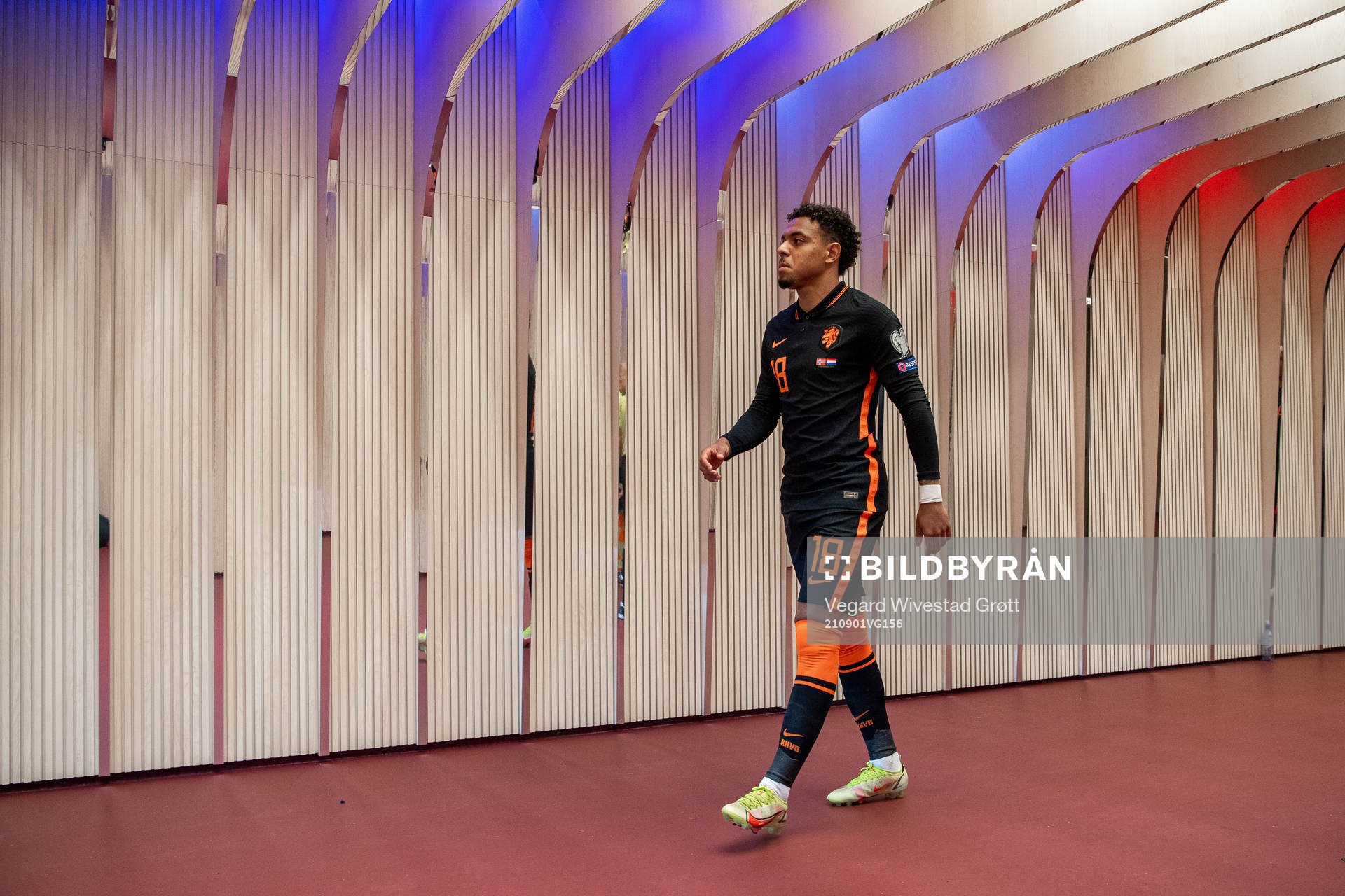 Donyell Malen of Netherlands at half-time