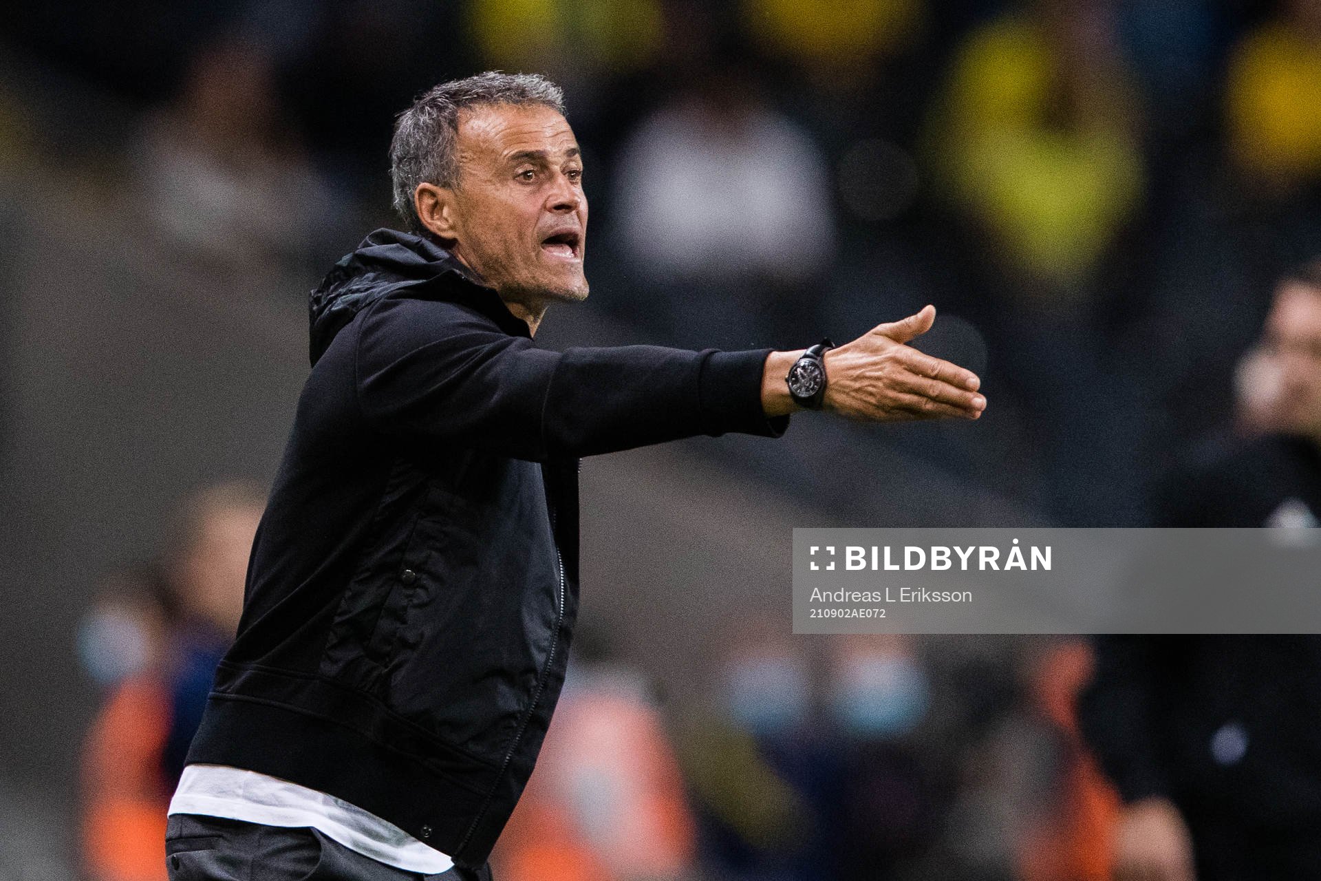 Head coach Luis Enrique of Spain