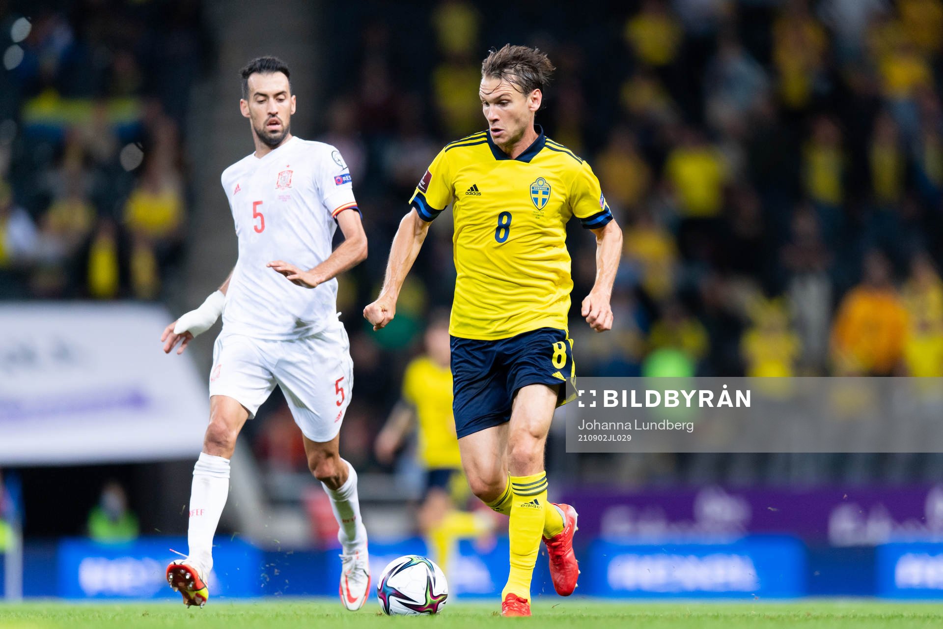 Albin Ekdal of Sweden