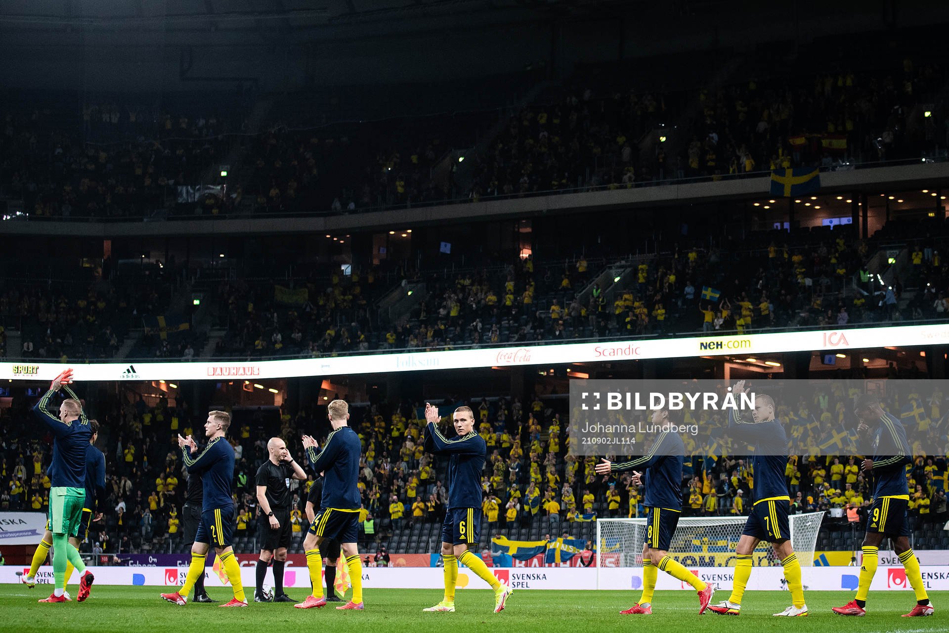 Players of Sweden
