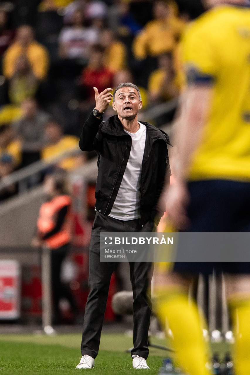 head coach Luis Enrique of Spain