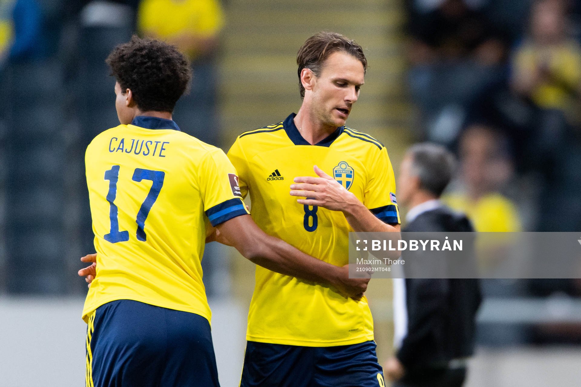 Albin Ekdal of Sweden is substituted by Jens Cajuste of