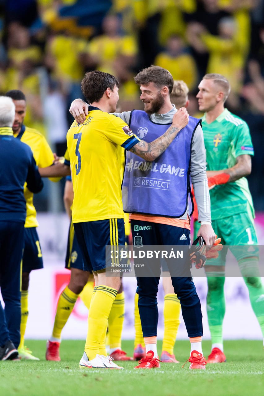 Victor Nilsson Lindelöf of Sweden and goalkeeper David De