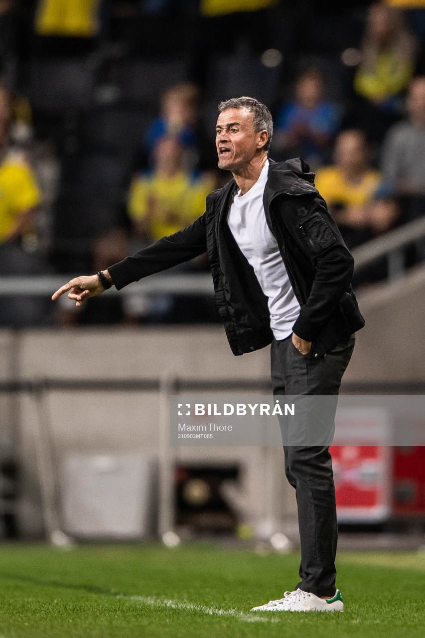Head coach Luis Enrique of Spain
