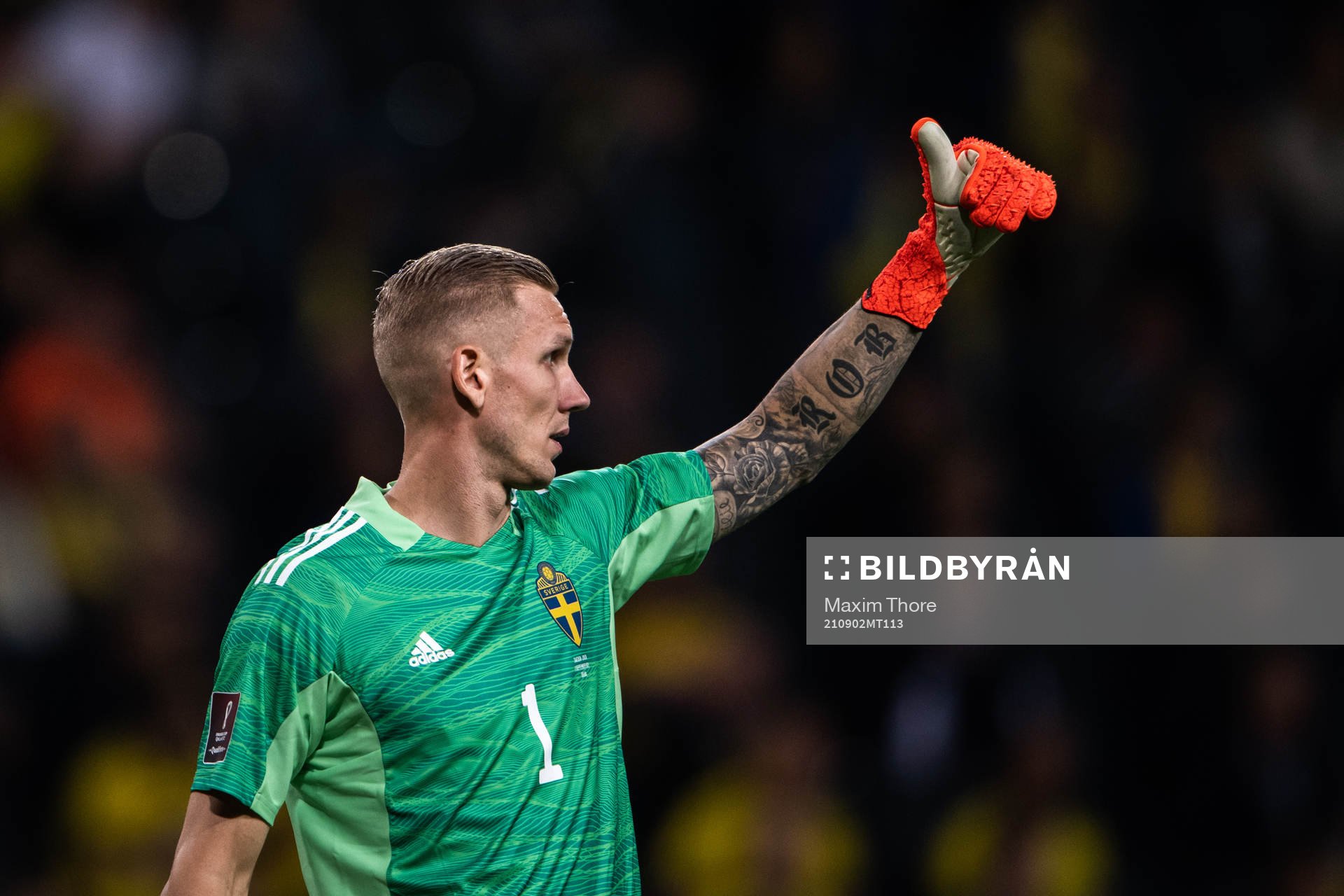 goalkeeper Robin Olsen of Sweden