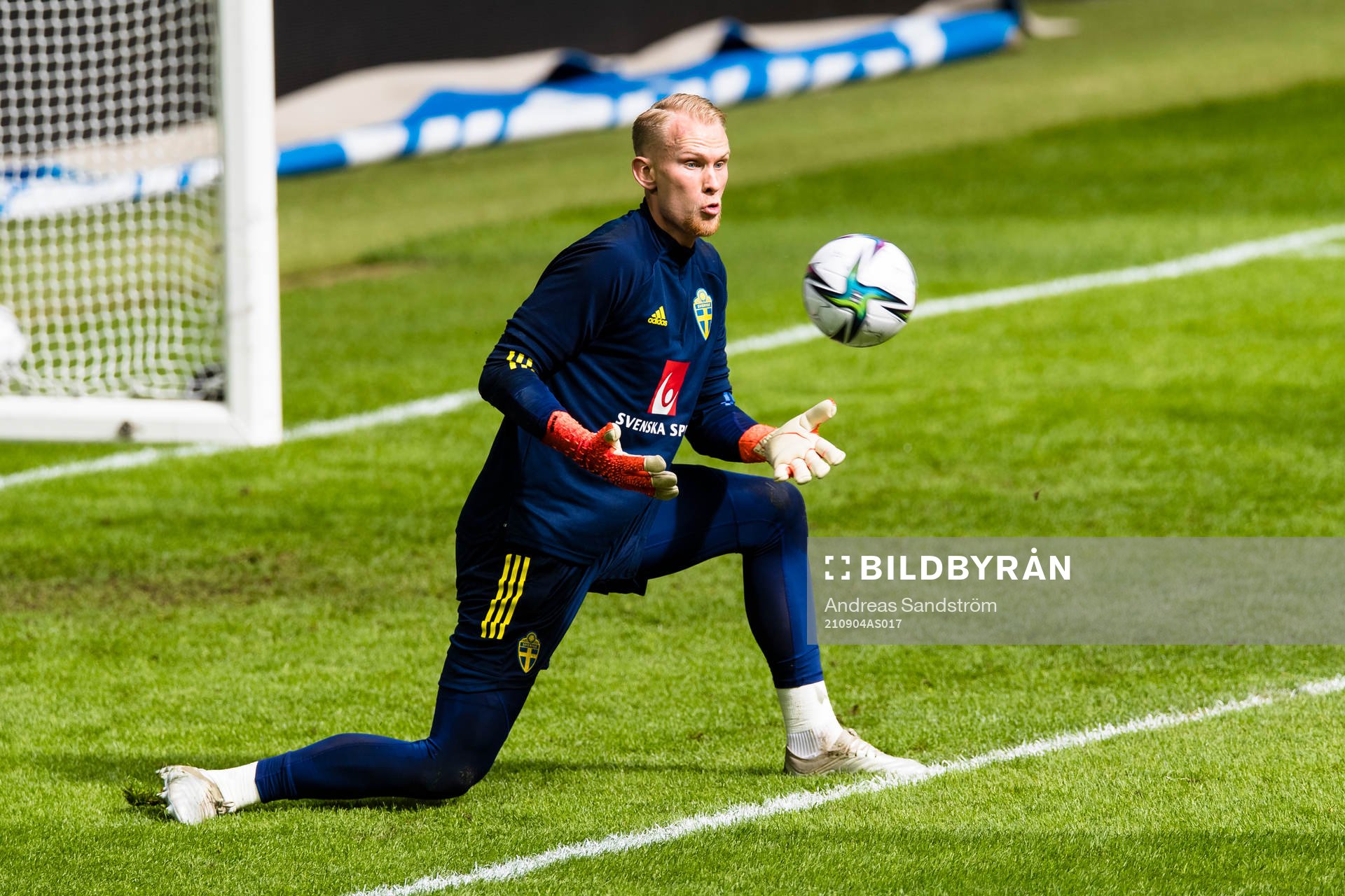 Goalkeeper Pontus Dahlberg of Sweden