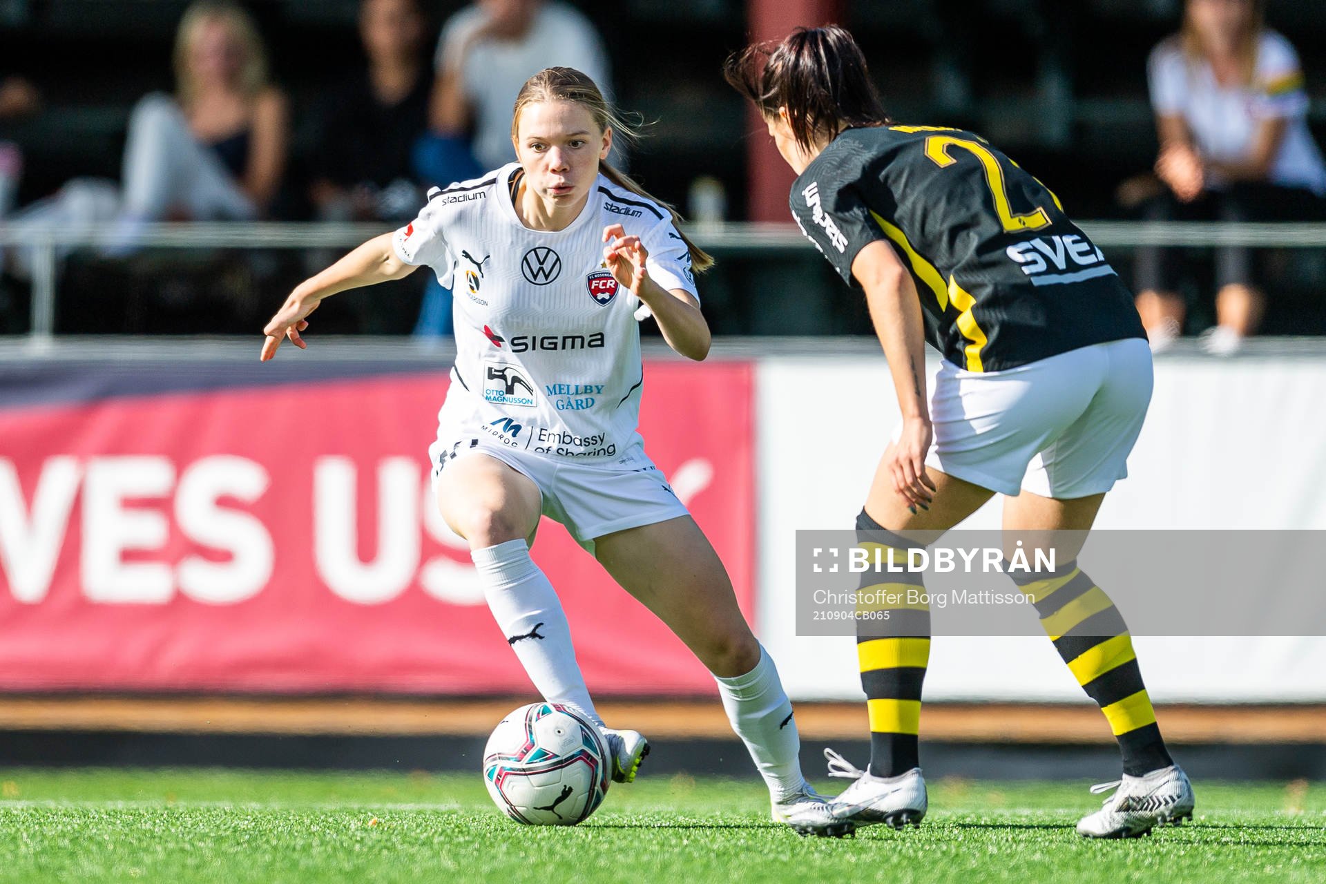 Rosengårds Bea Sprung