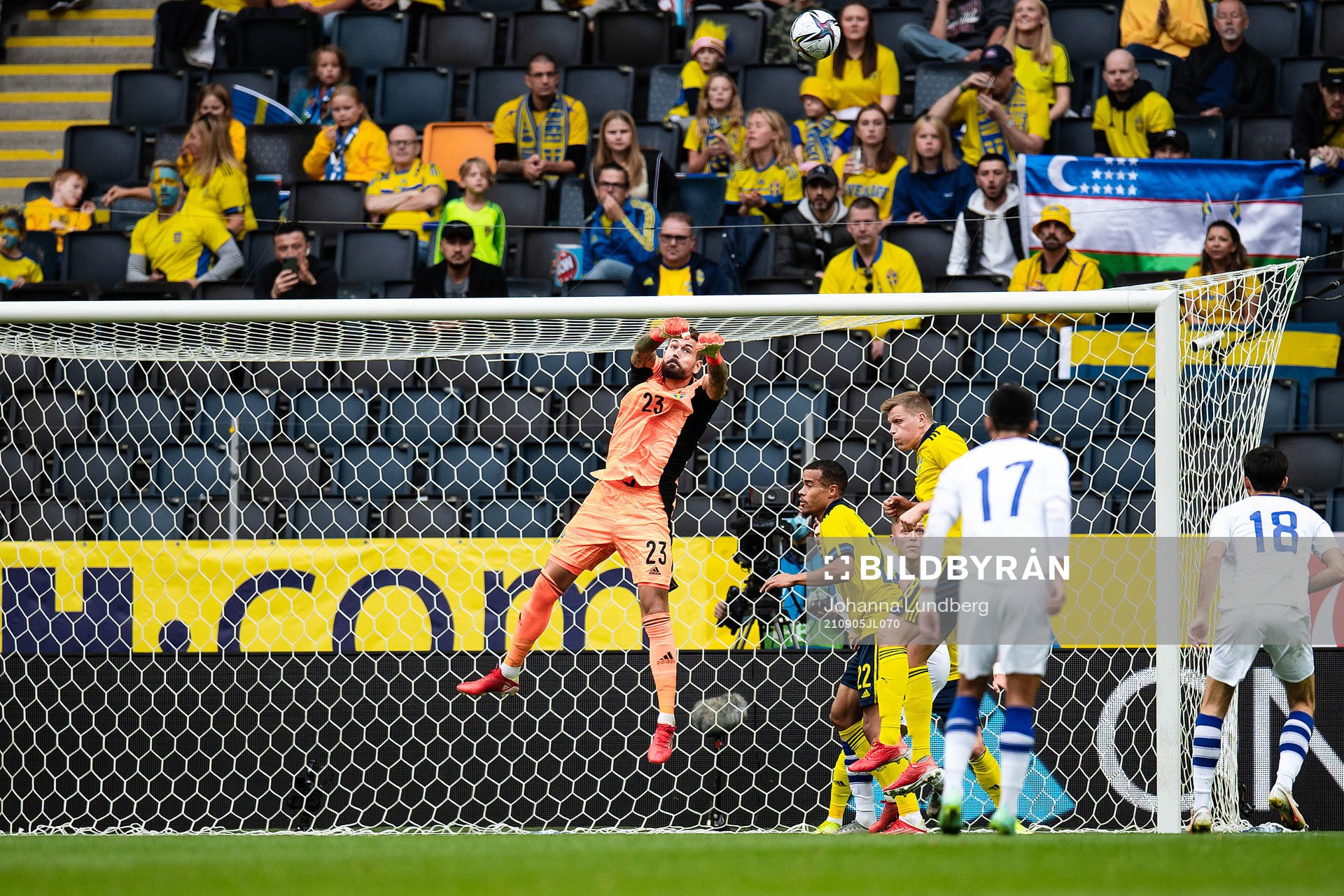 goalkeeper Kristoffer Nordfeldt of Sweden