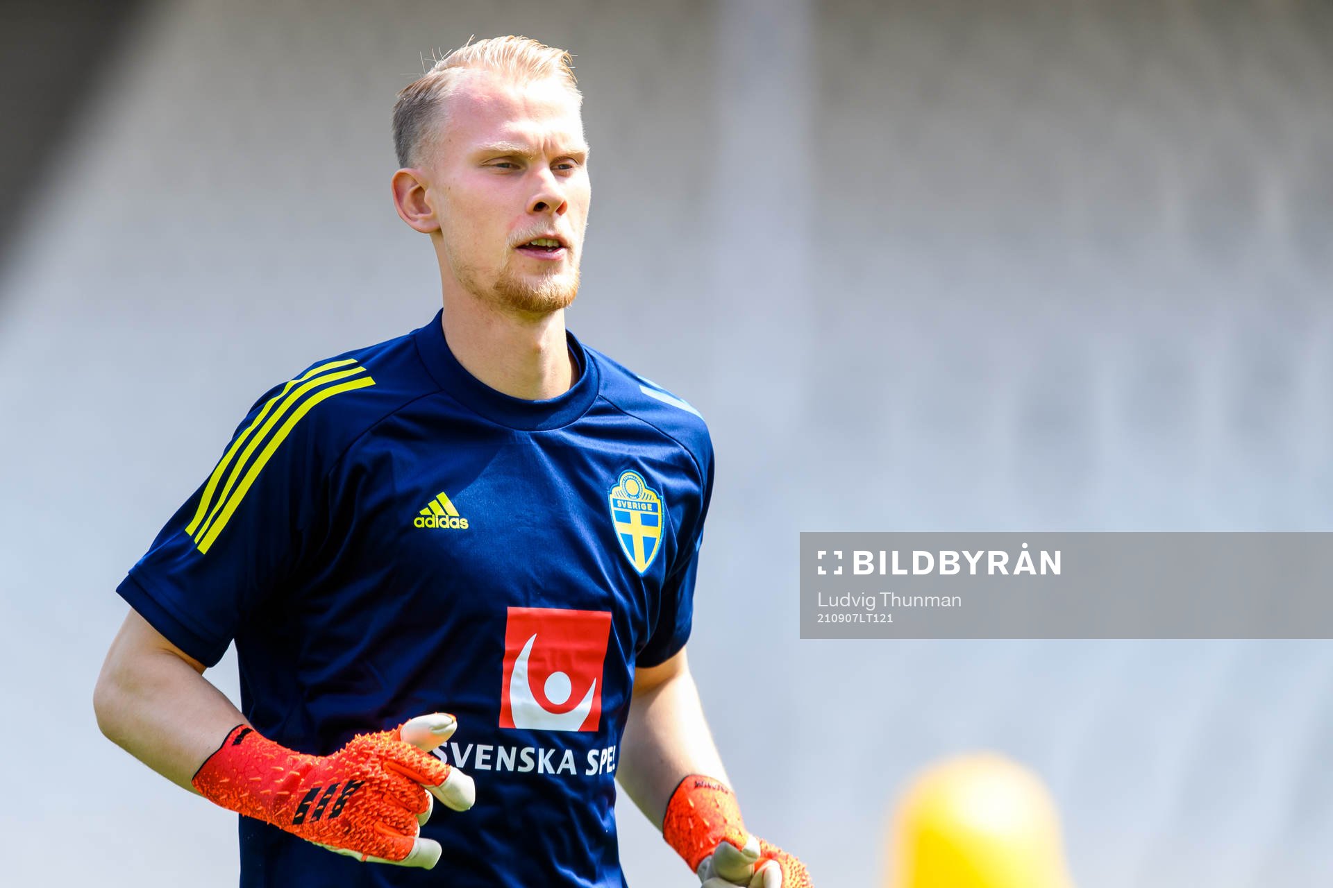 Goalkeeper Pontus Dahlberg of the Swedish national football