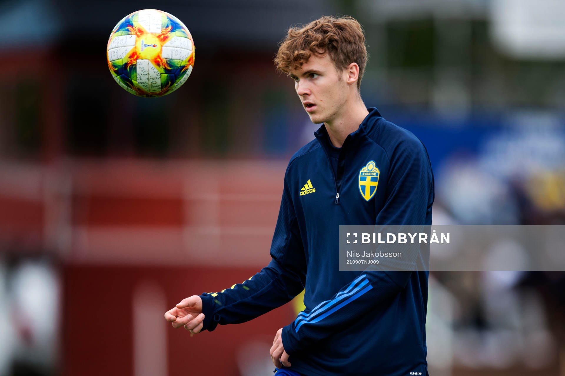 Sveriges Williot Swedberg
