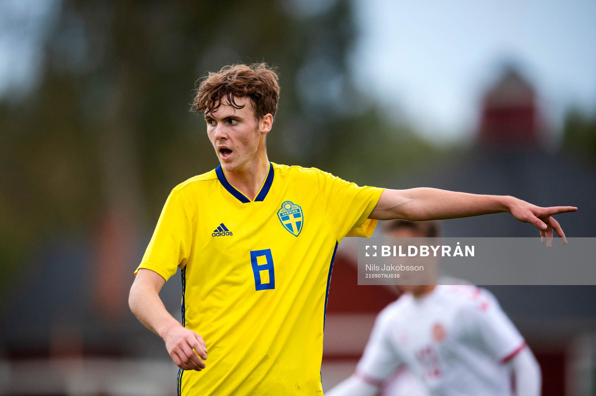 Sveriges Williot Swedberg