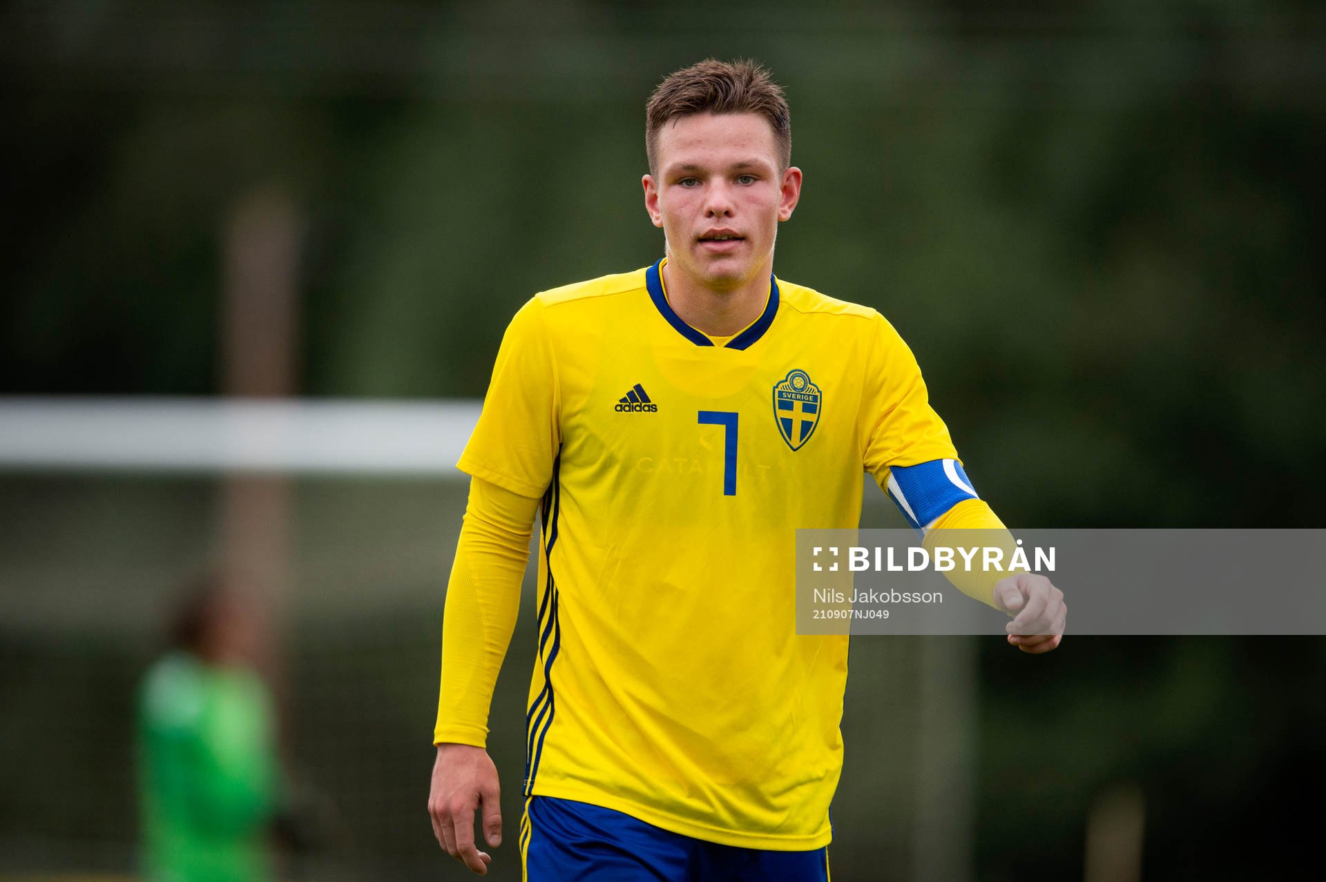 Sveriges Wilgot Marshage