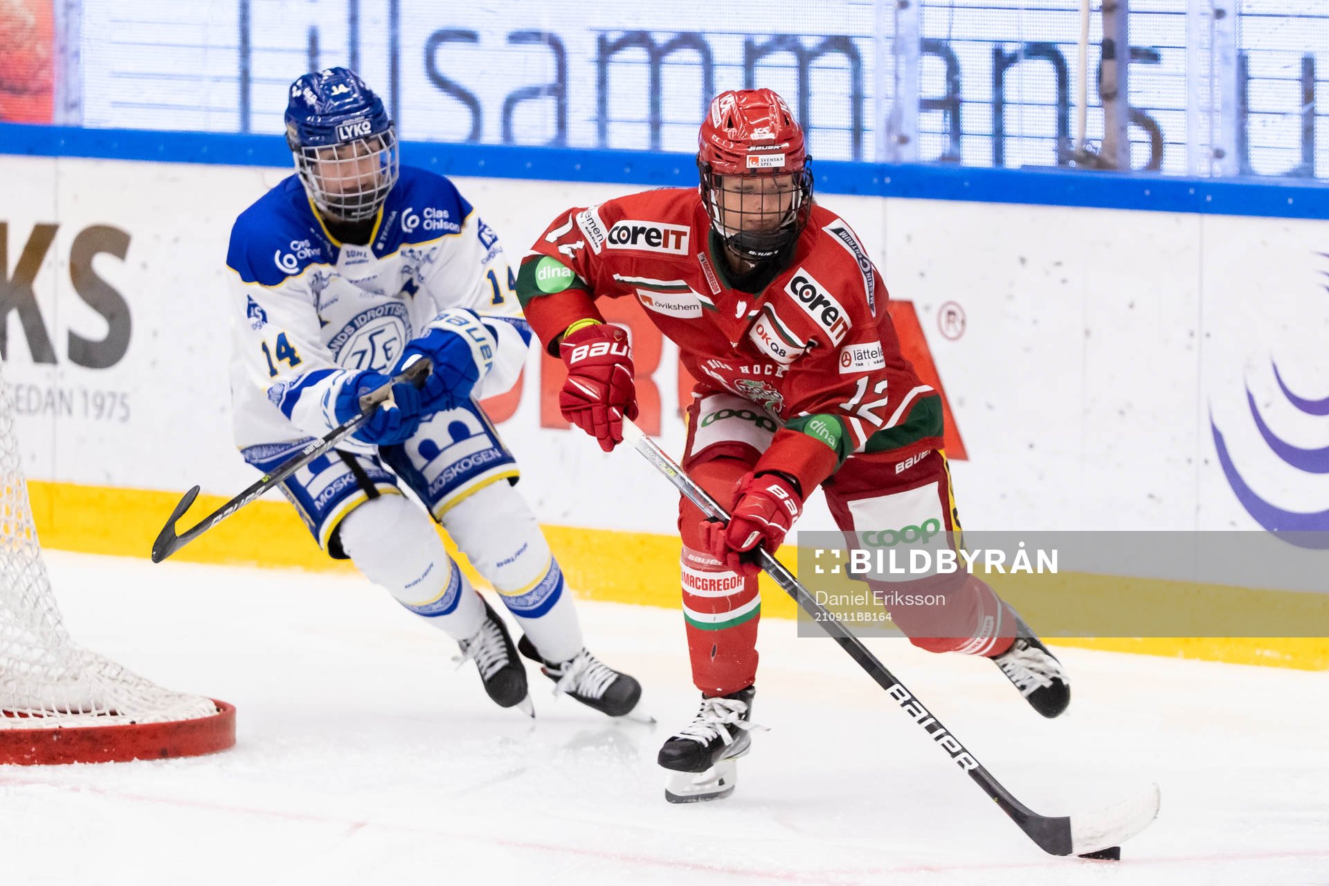 Leksands Payge Peña och  MODOs Mina Waxin