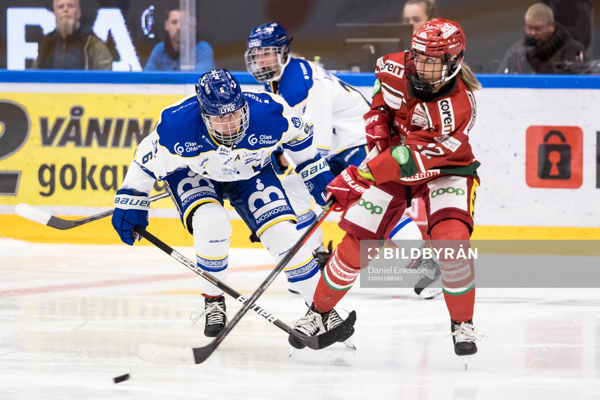 Leksands Gracen Hirschey och Modos Jaysee Magwood