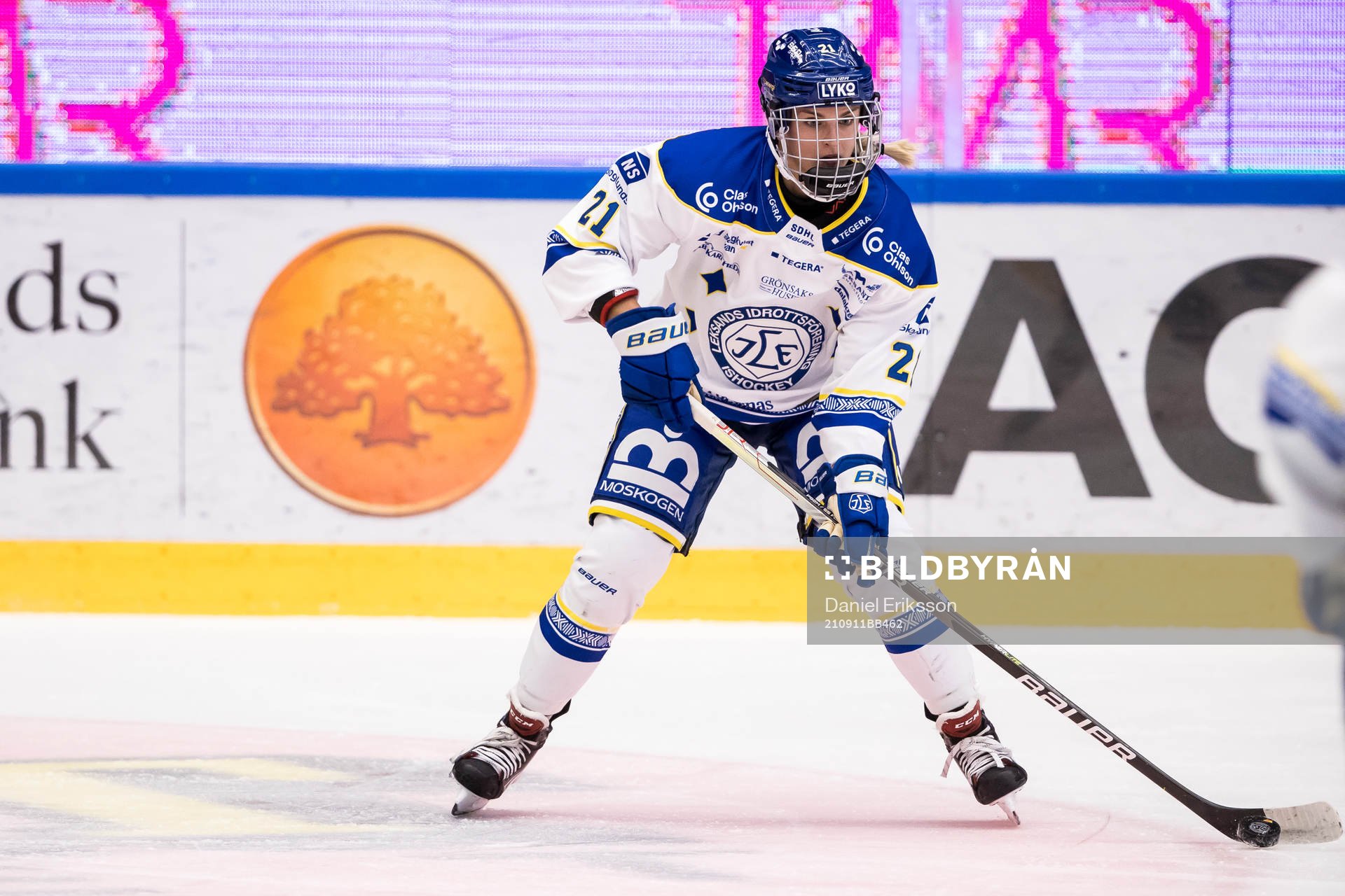 Leksands Tereza Vanisova