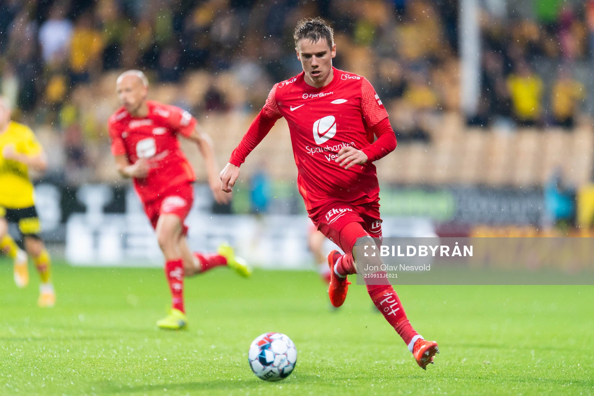 Robert Taylor of Brann