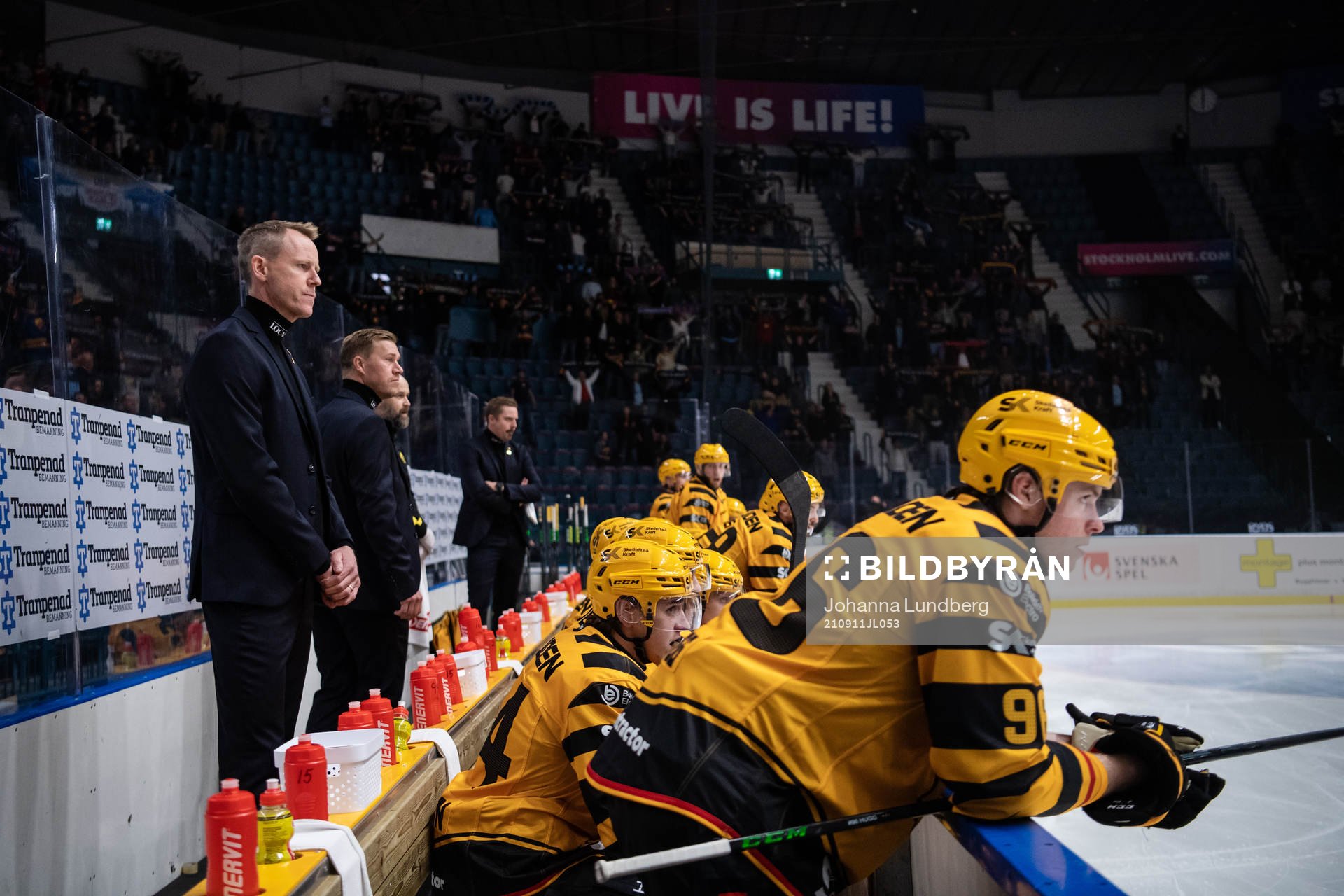 Skellefteås tränare Robert Ohlsson