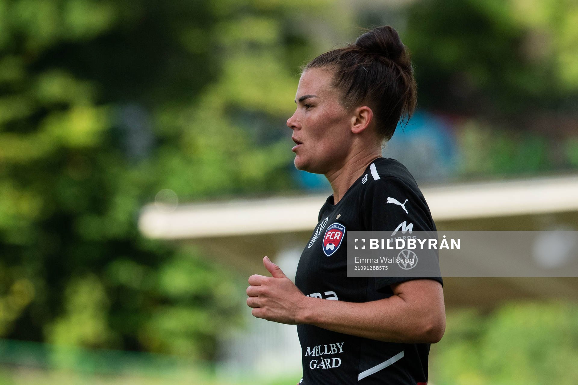 Rosengårds Katrine Veje