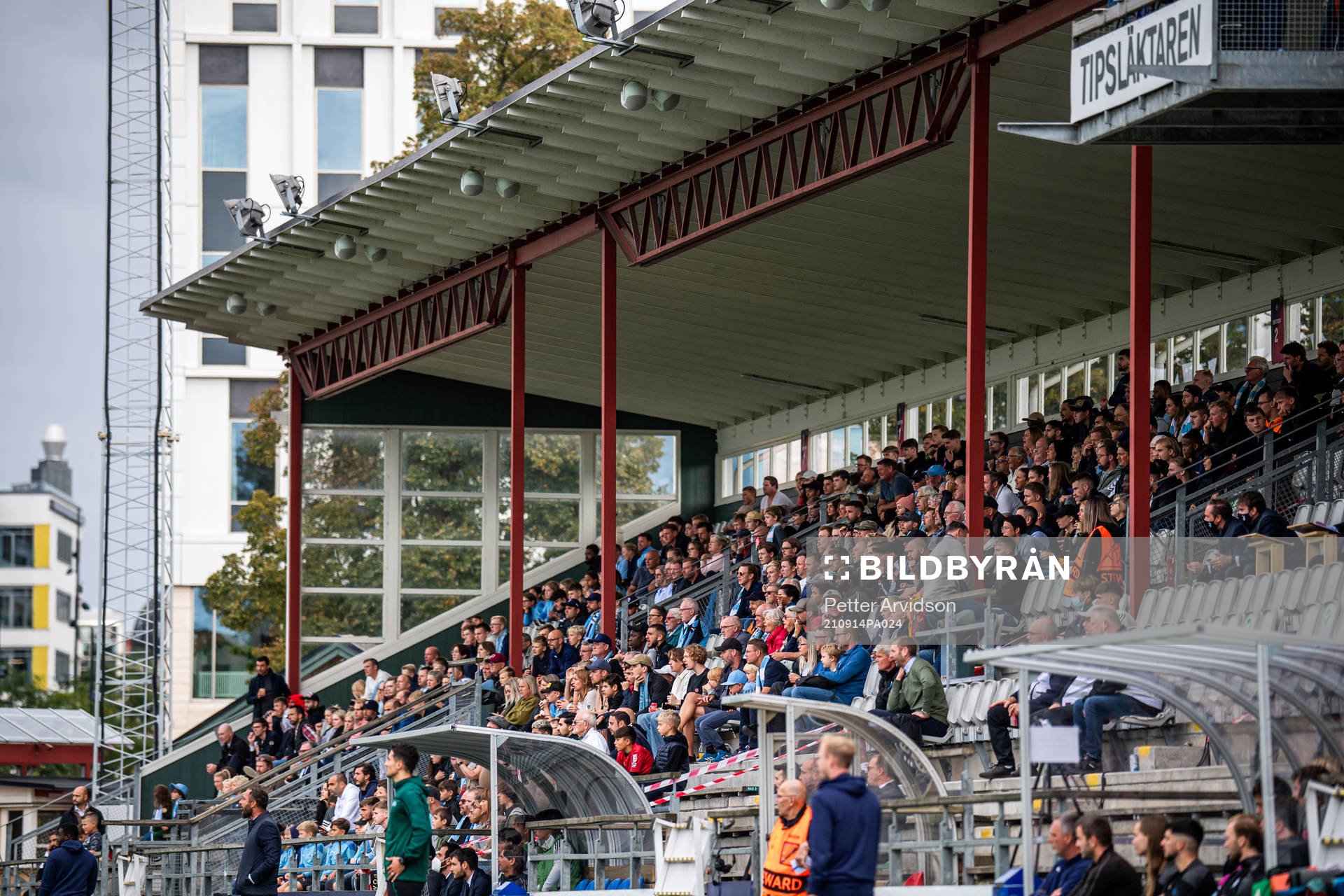 Spectators in the stands