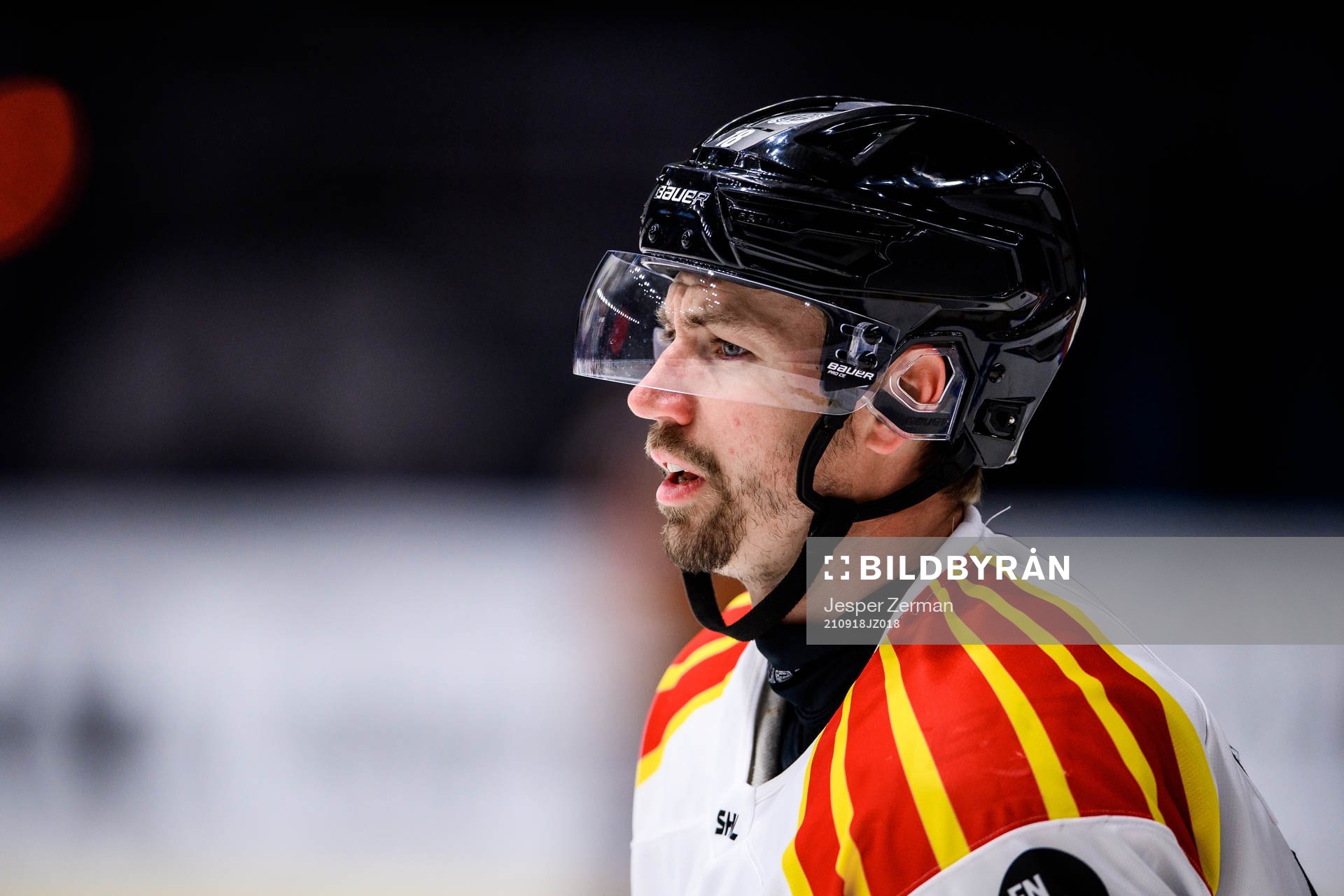 Brynäs Anton Rödin