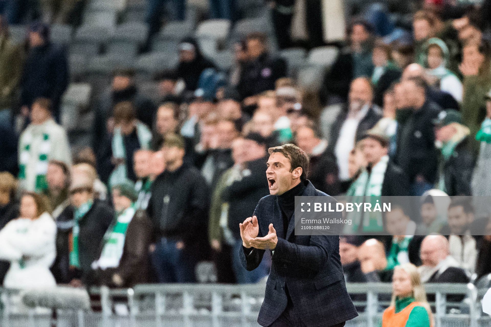 Hammarbys tränare Milos Milojevic