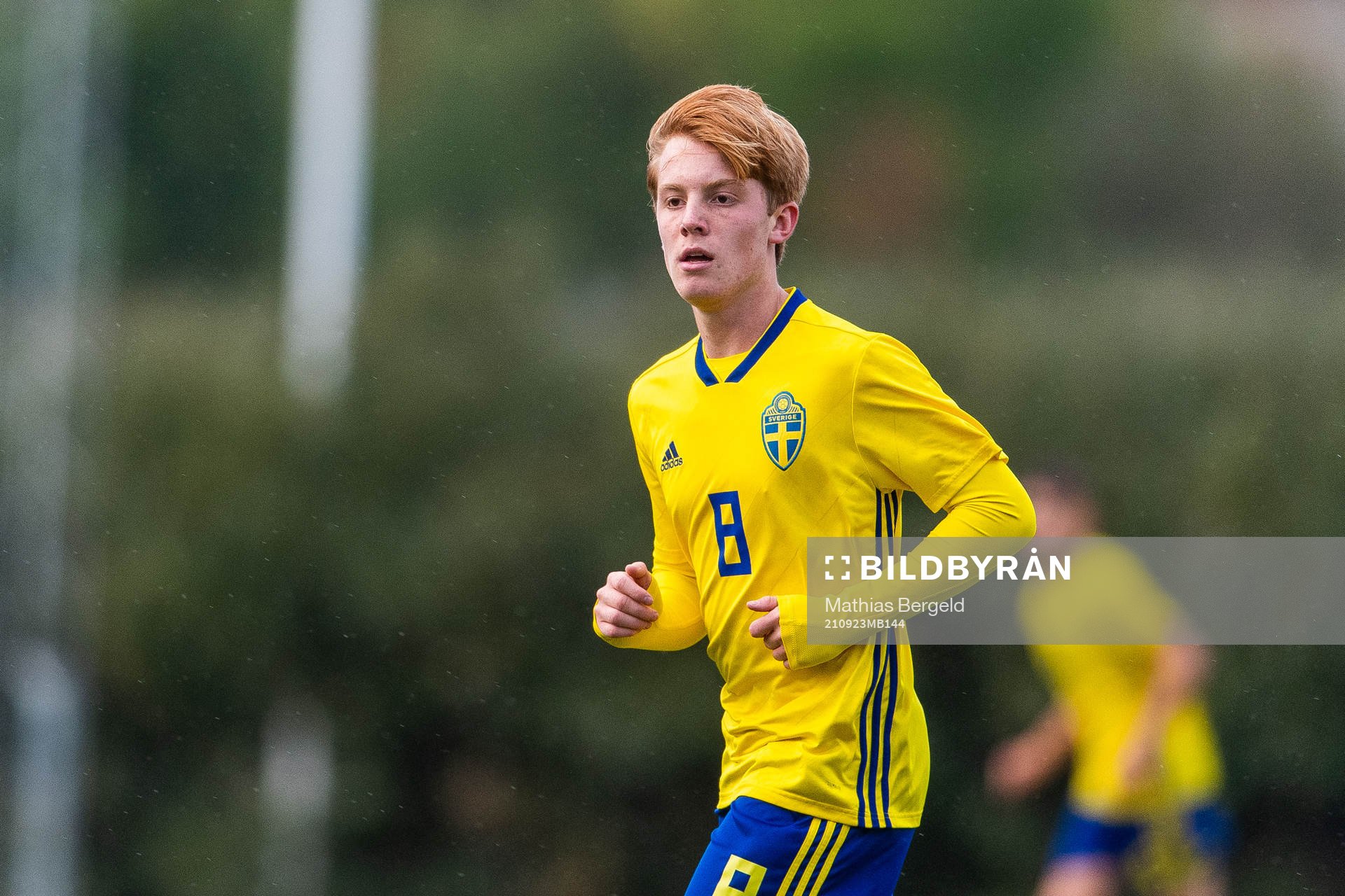 Sveriges William Andersson