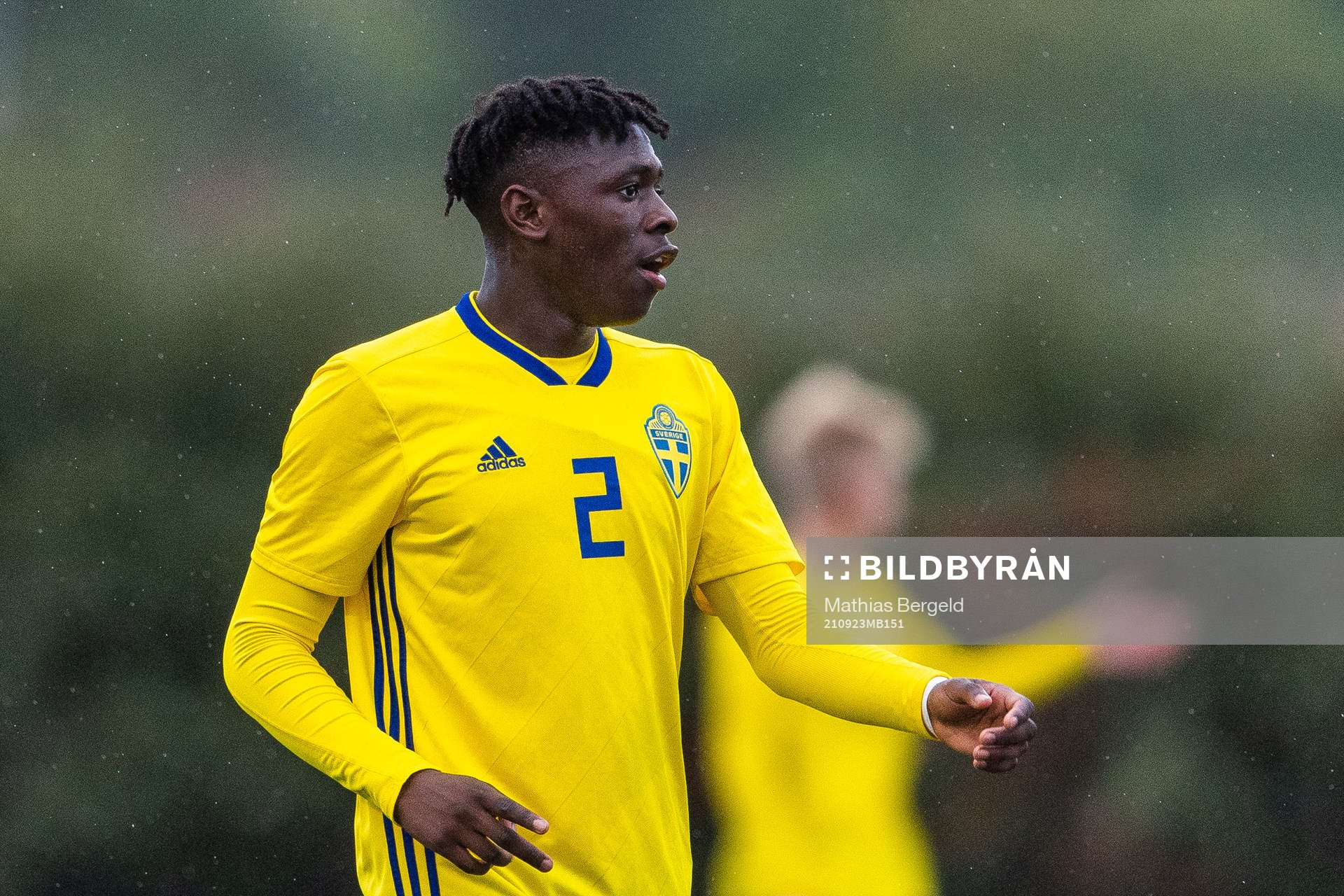 Sveriges William Rashidi