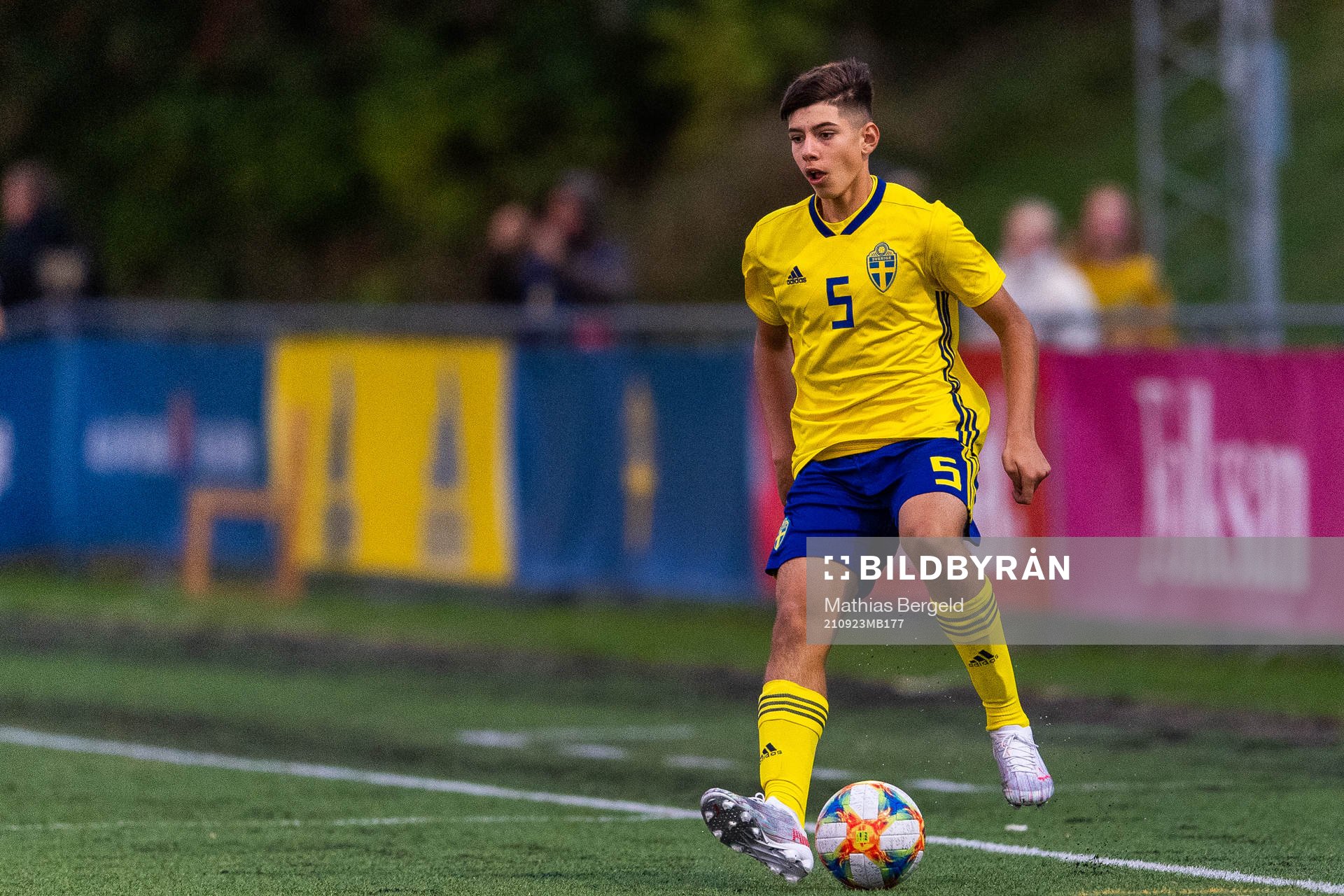 Sveriges Arvin Davoudi-Kia