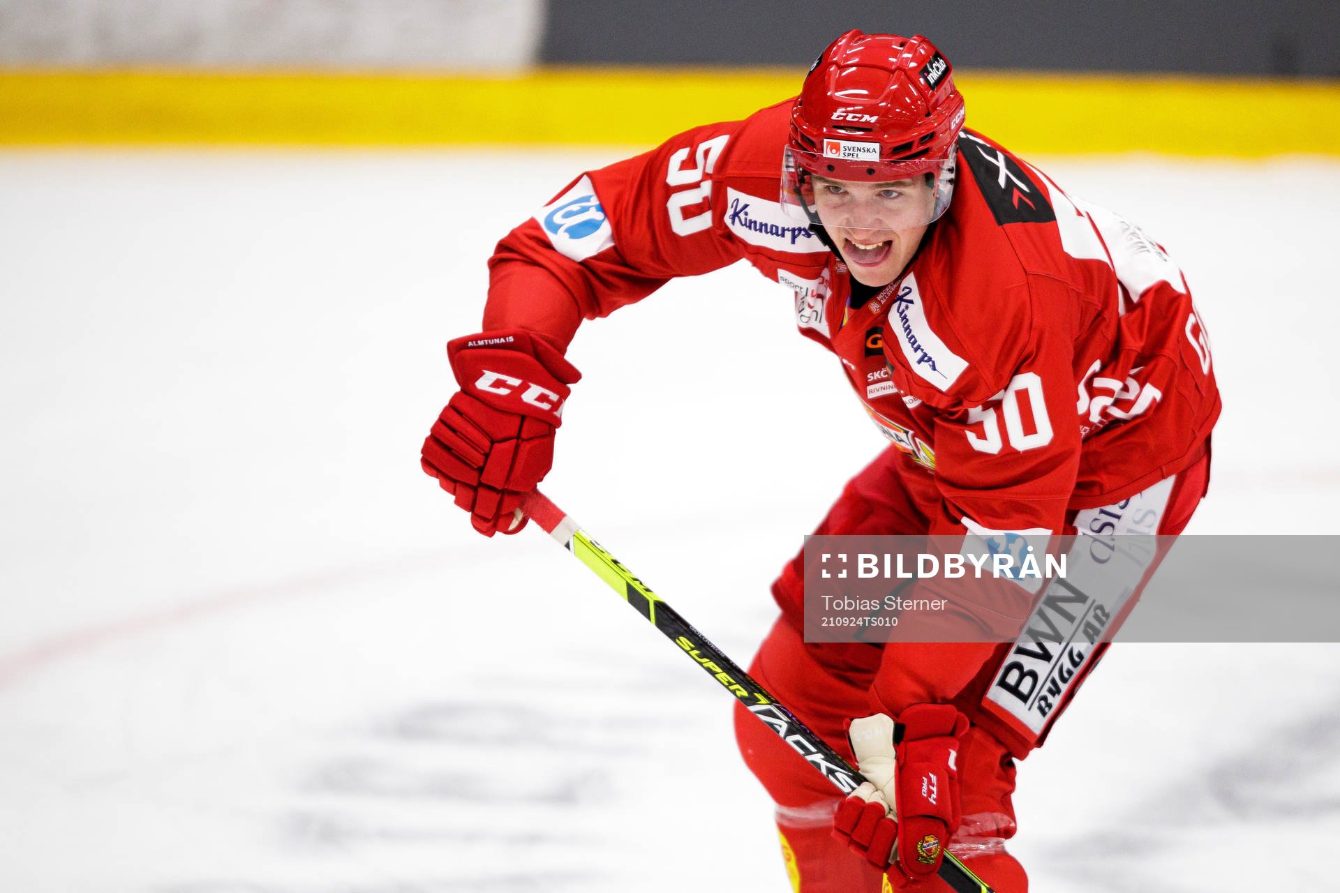 Almtunas Georgs Golovkovs