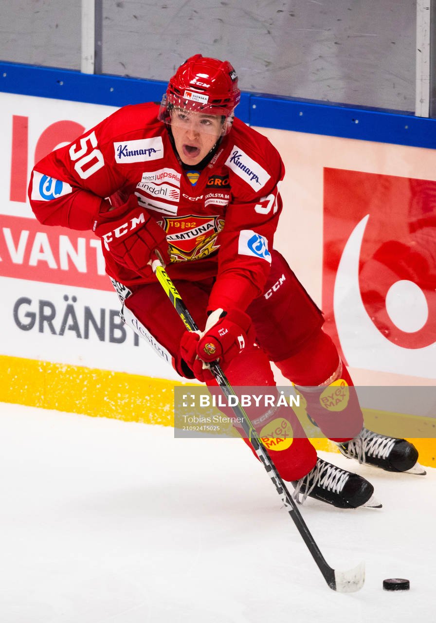 Almtunas Georgs Golovkovs