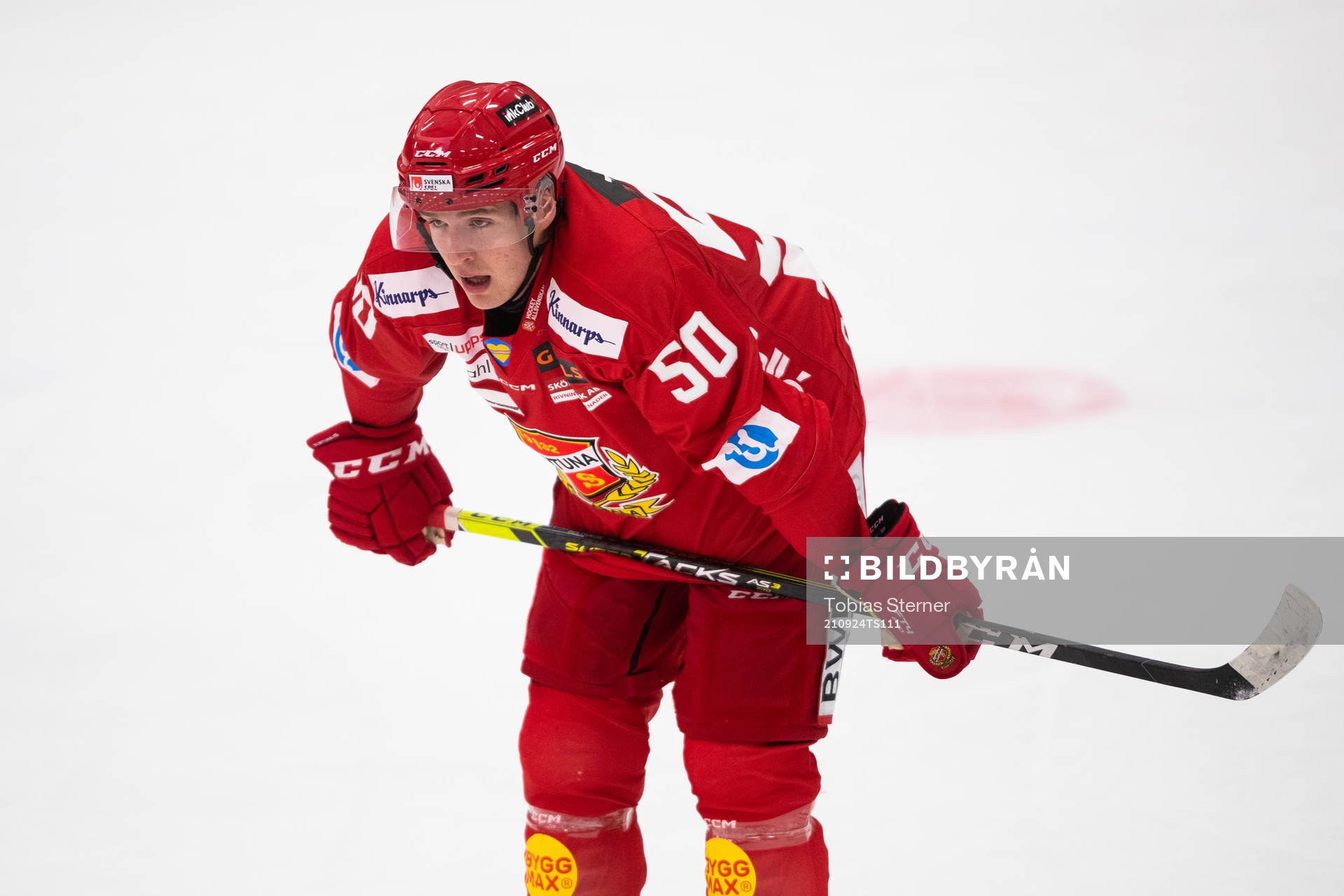 Almtunas Georgs Golovkovs