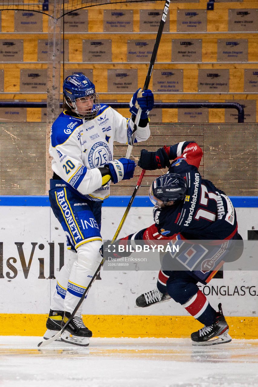 Leksands Lian Bichsel och Linköpings Brian Gibbons
