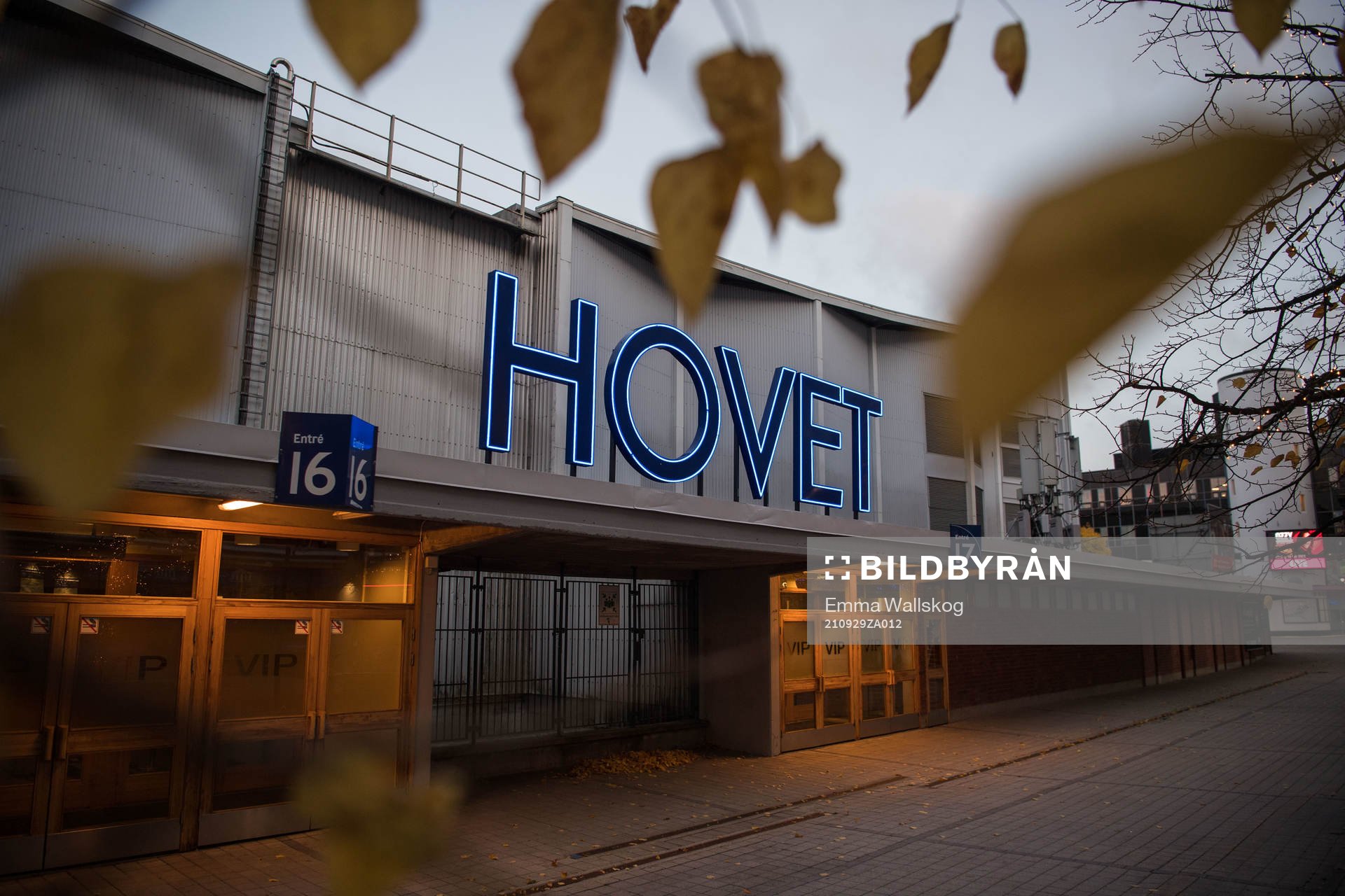 Hovet innan ishockeymatchen i SDHL mellan Djurgården och