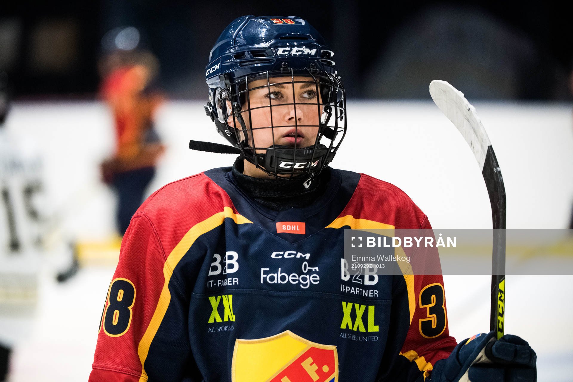 Djurgårdens Pandora Nåtby