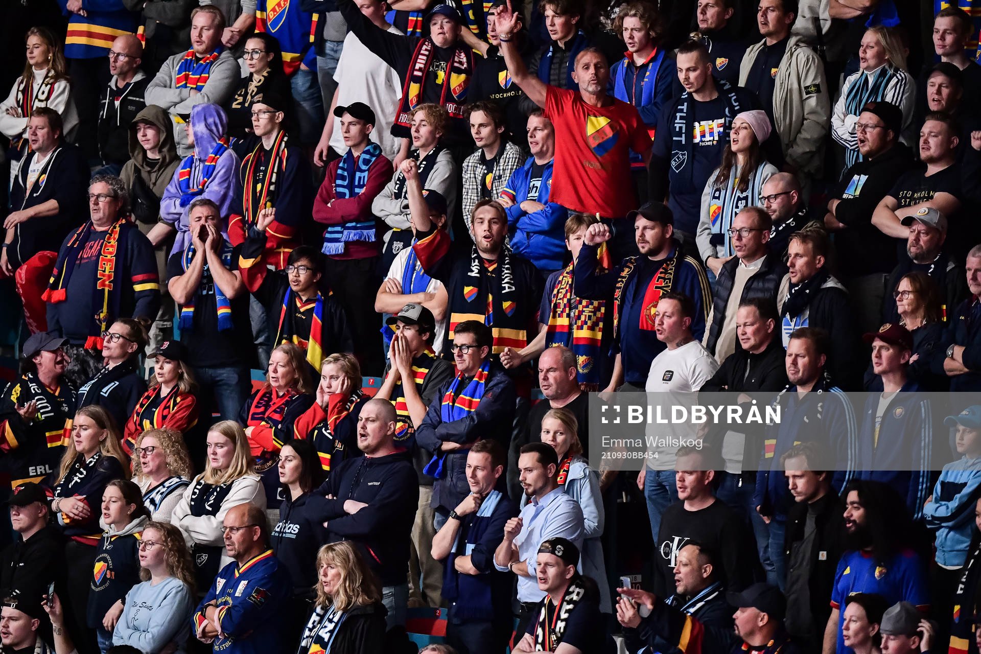 Djurgårdens supportrar