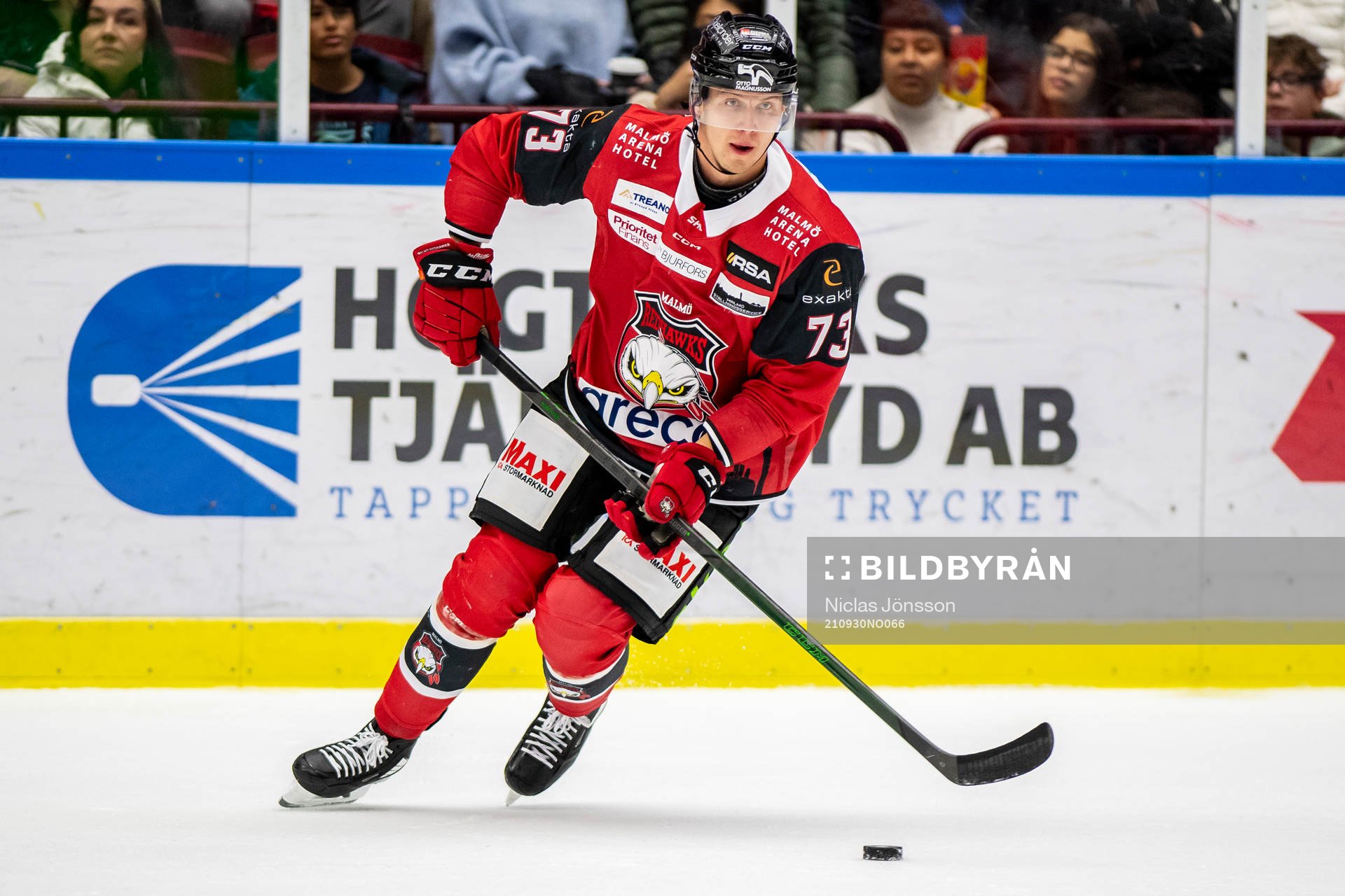 Malmö Redhawks Adam Ollas Mattsson
