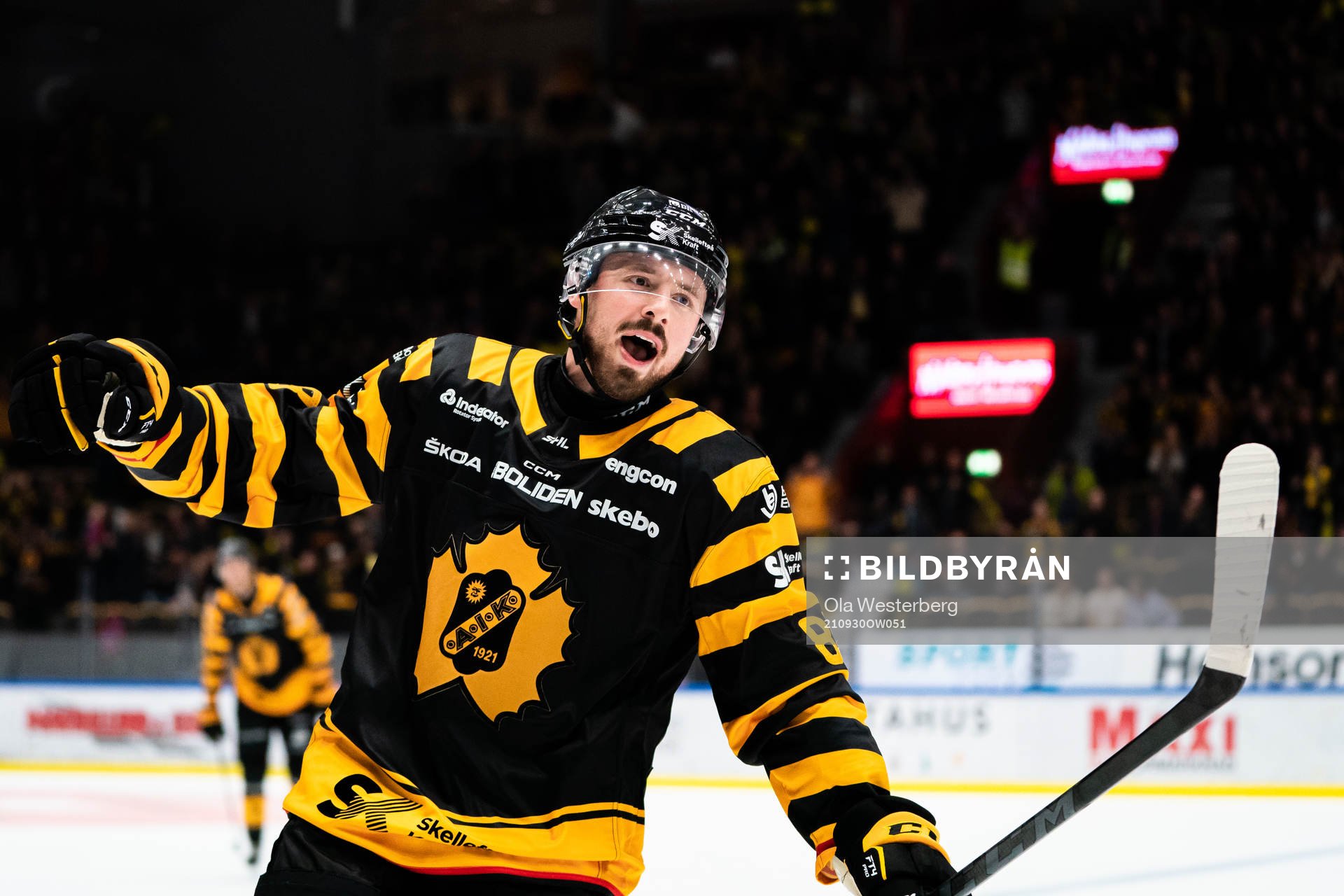 Skellefteås Jayce Hawryluk jublar