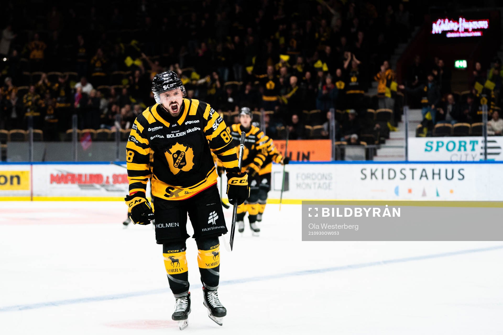 Skellefteås Jayce Hawryluk jublar
