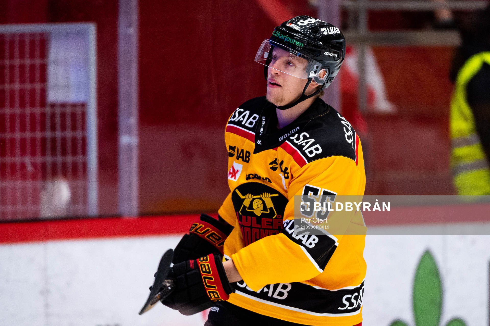 Luleås Vilmos Gallo