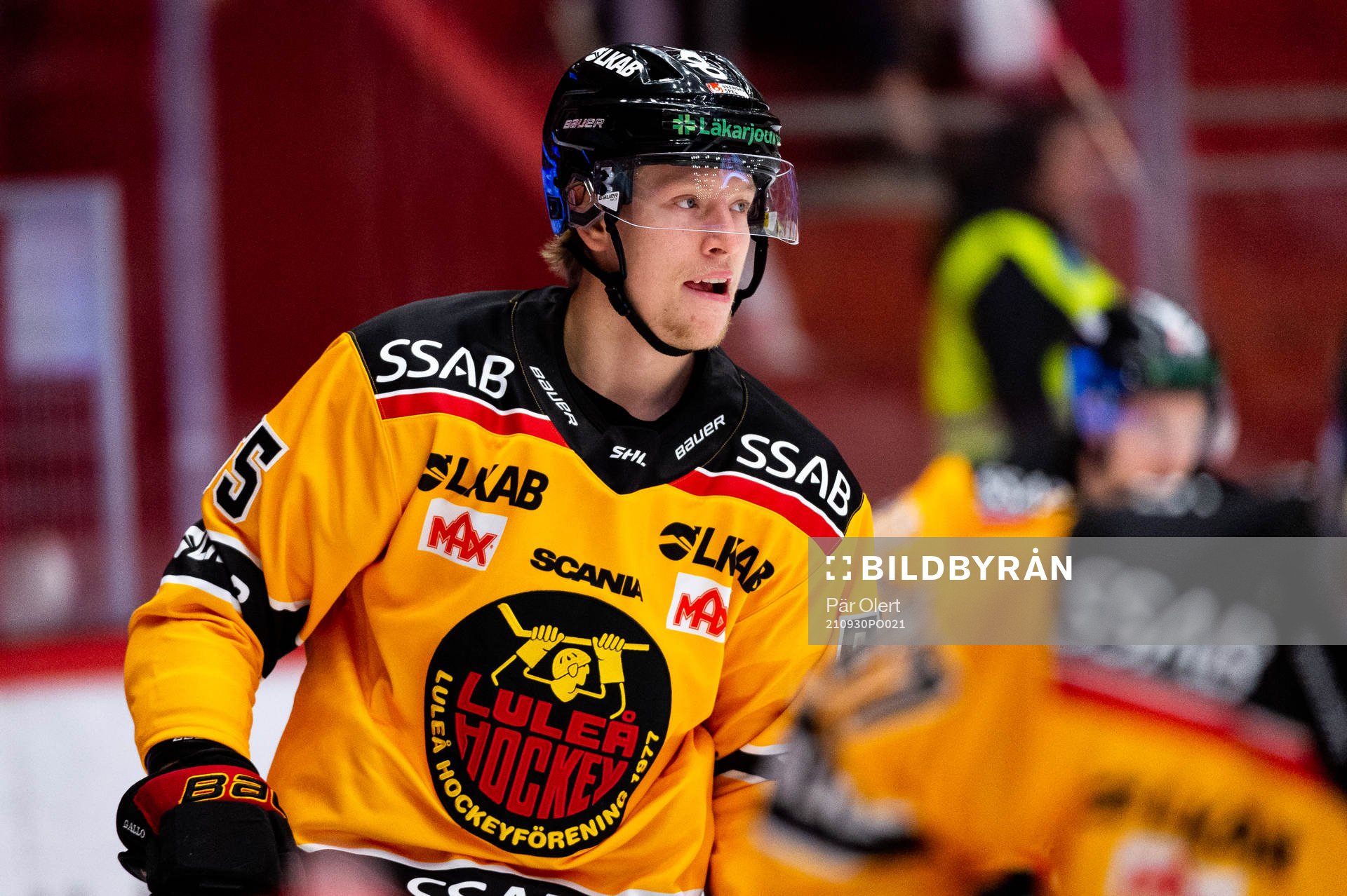 Luleås Vilmos Gallo