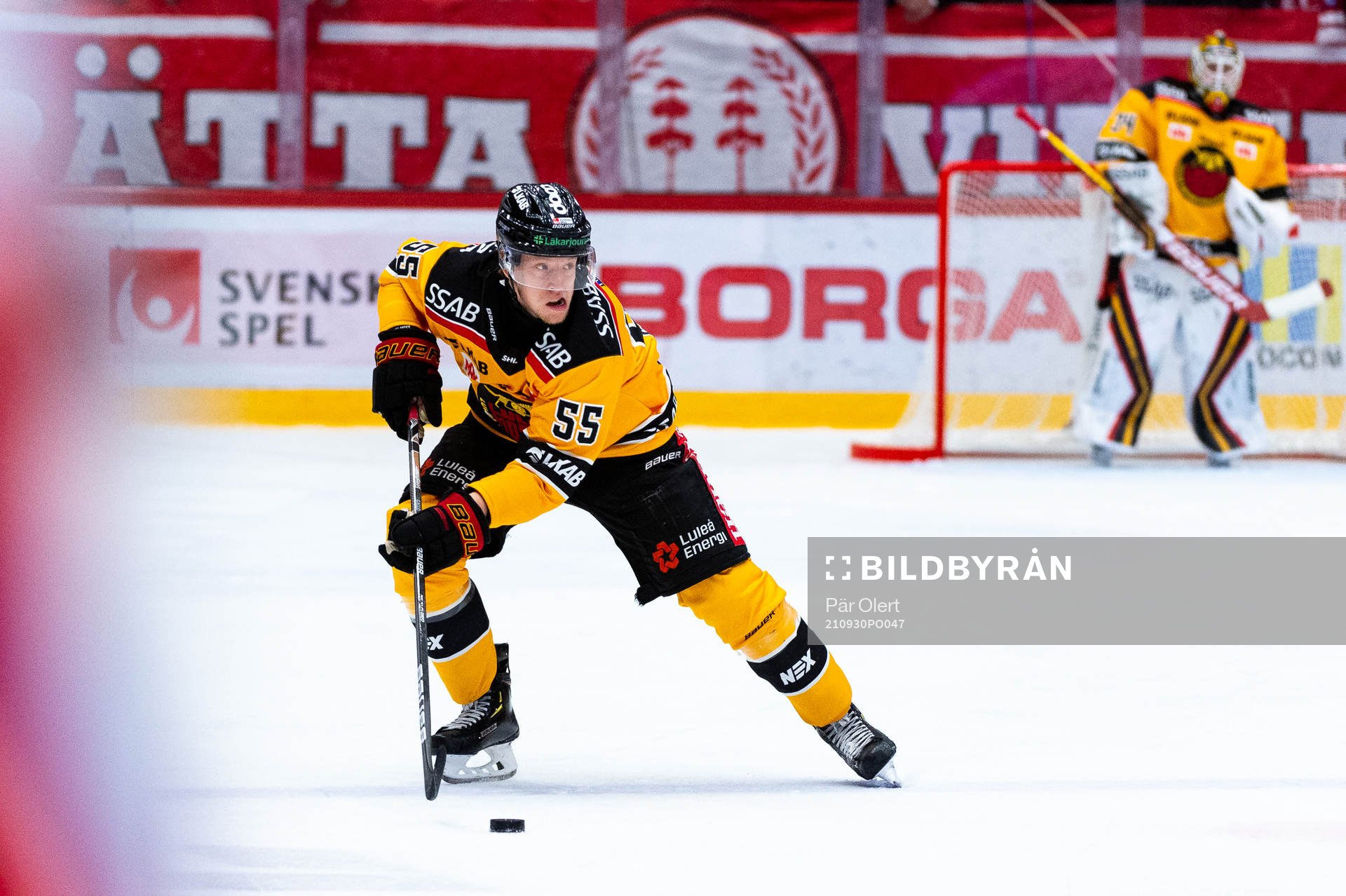 Luleås Vilmos Gallo